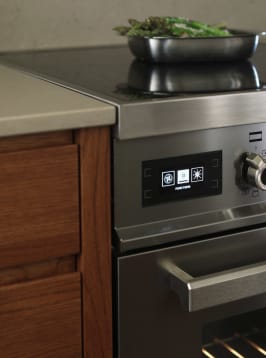 professional-induktionsspis-60-cm-1-ugn-rostfri