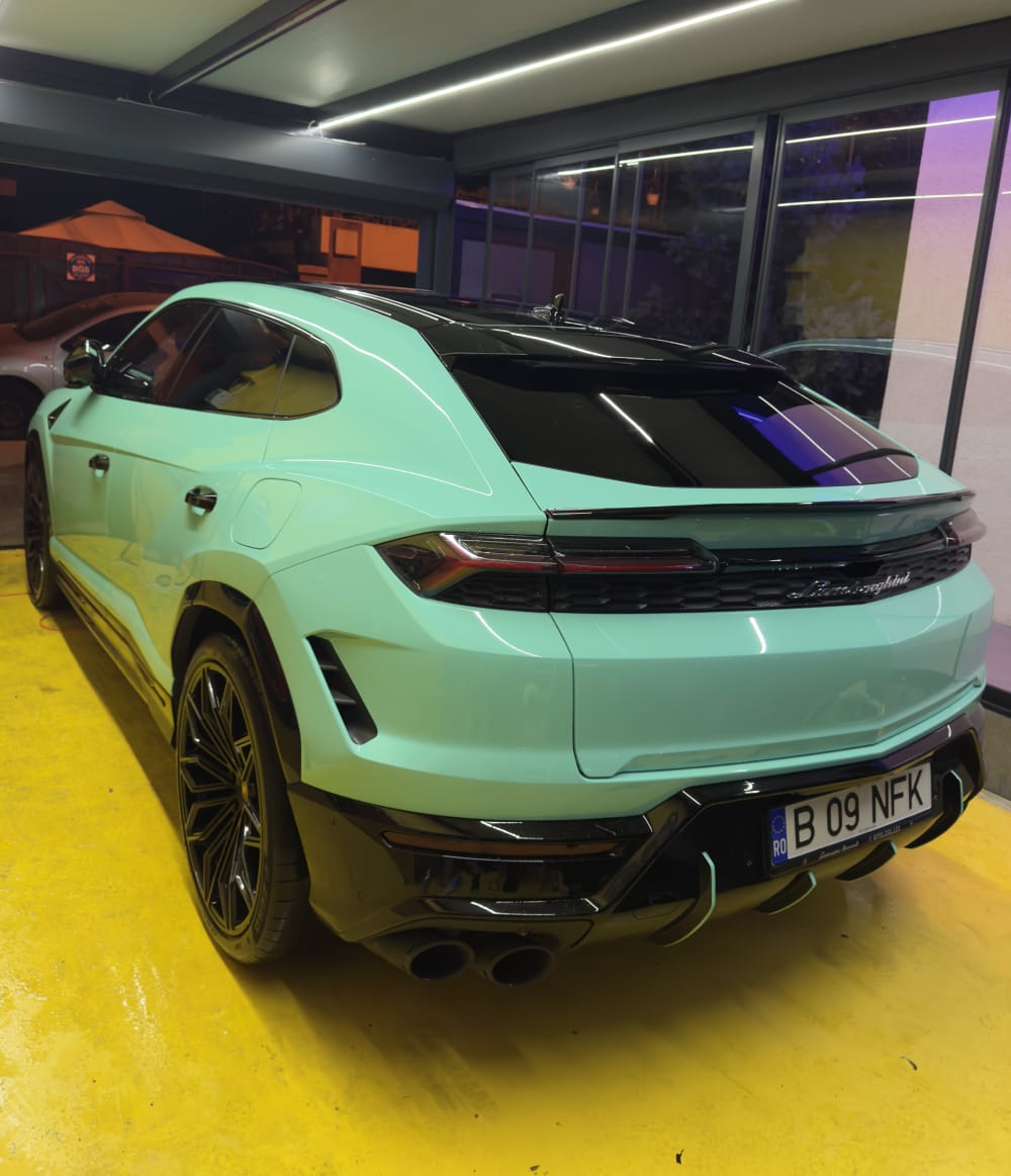 Lucrare de detailing realizată la domiciliul unui client I-ONE, imagine 02
