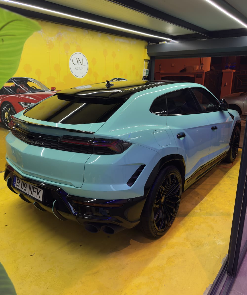 Lucrare de detailing exterior realizată de I-ONE, imagine 02