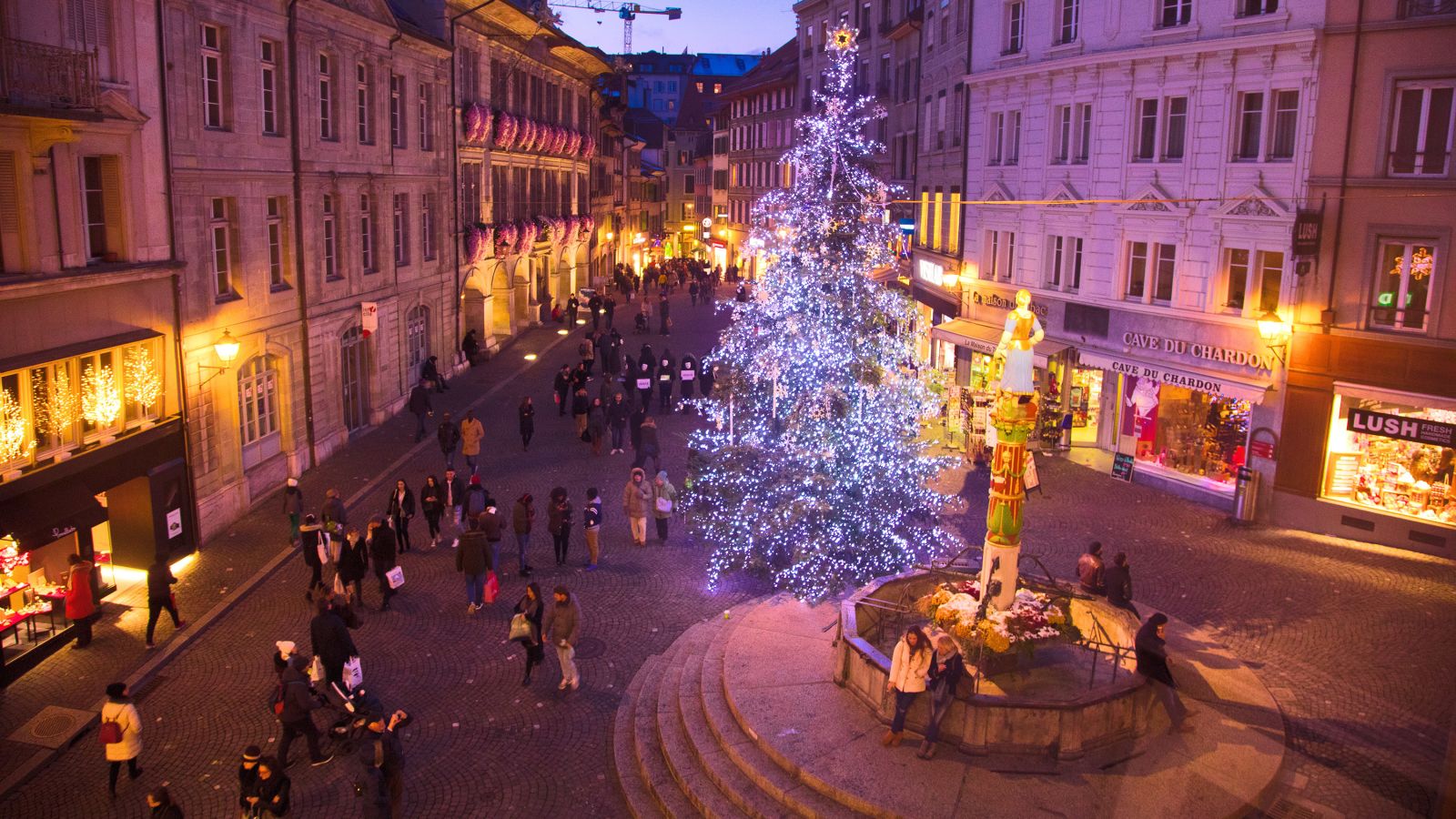 Le sapin géant de la Palud – Lausanne Tourisme – Site officiel du tourisme  à Lausanne