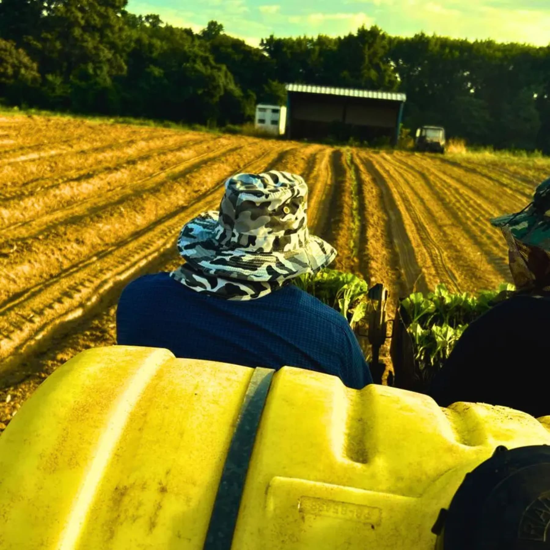 Notes from the Field