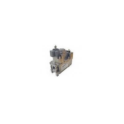 VALVULA DE GAS V4600C1136