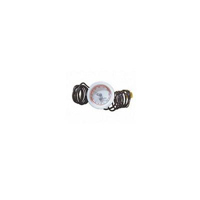MANOTERMOMETRO BLANCO 0-6 BAR,  0-110ºC, Ø60