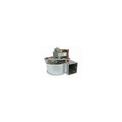 EXTRACTOR EBM PAPST RLD85/2700 A26.220V27-31W (RLD85)