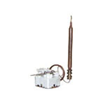 TERMOSTATO (BOLSA)