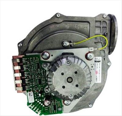 EXTRACTOR FERSYSTEM 50