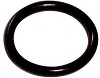 JUNTA TORICA (20 UDS)