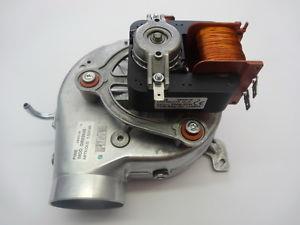 EXTRACTOR 55W SONDA POSTERIOR