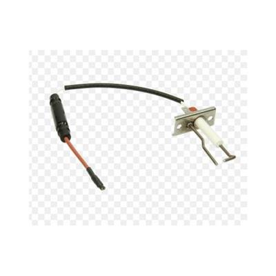 ELECTRODO