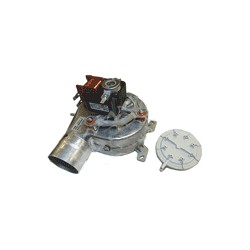 XTRACTOR ( EX IMM1018962)