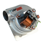 EXTRACTOR