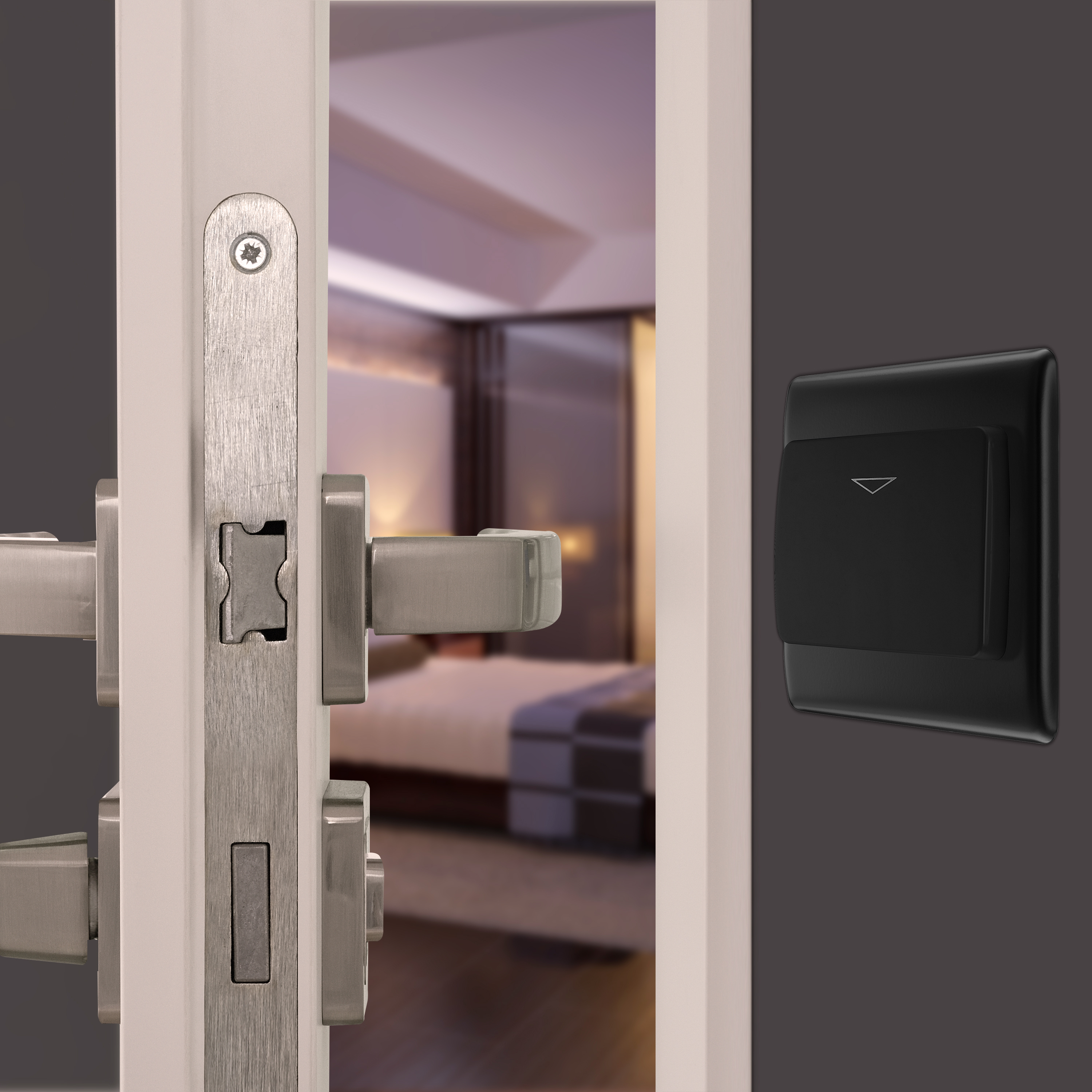 INSITU-3000x3000 20231013DM