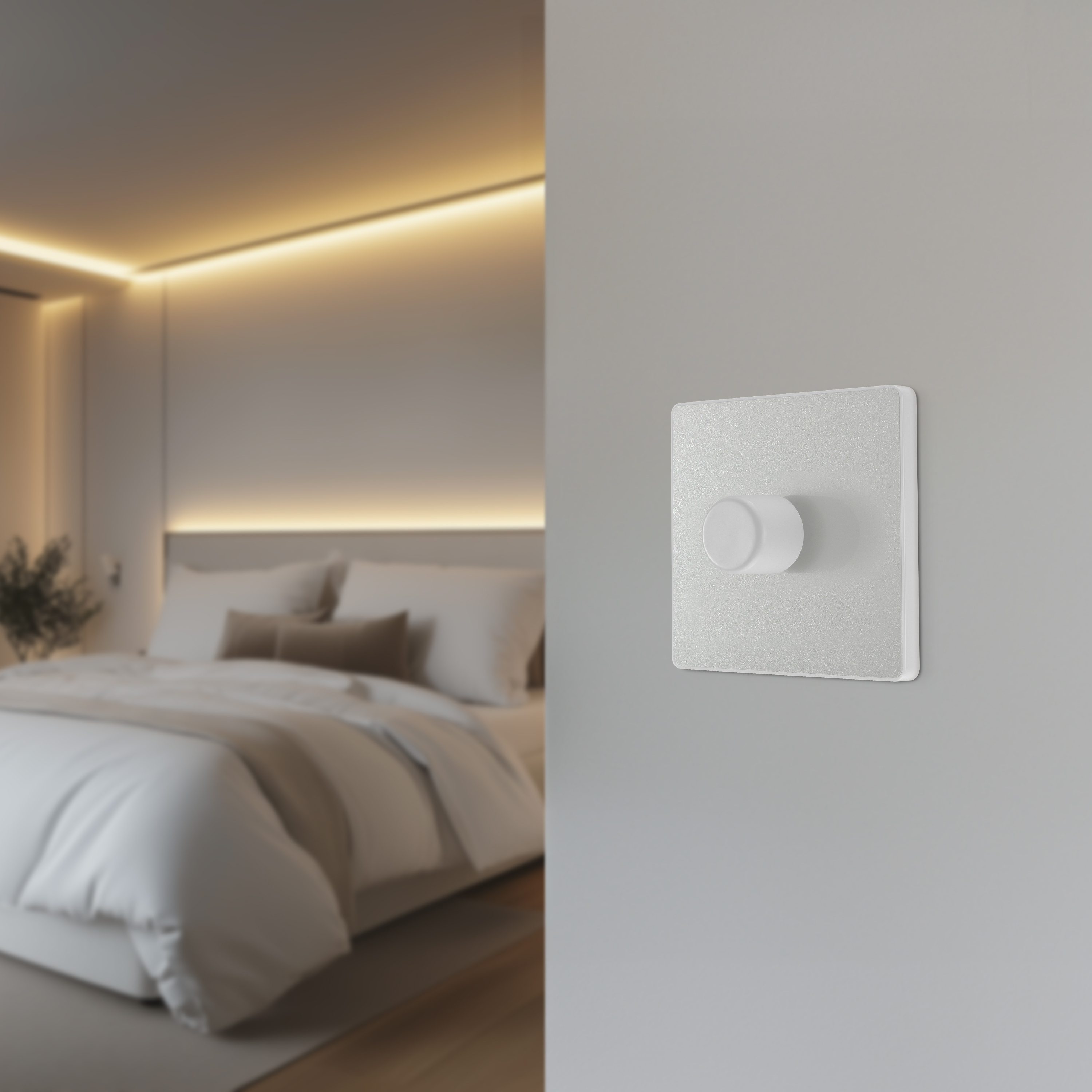 3000x3000 20240920DM