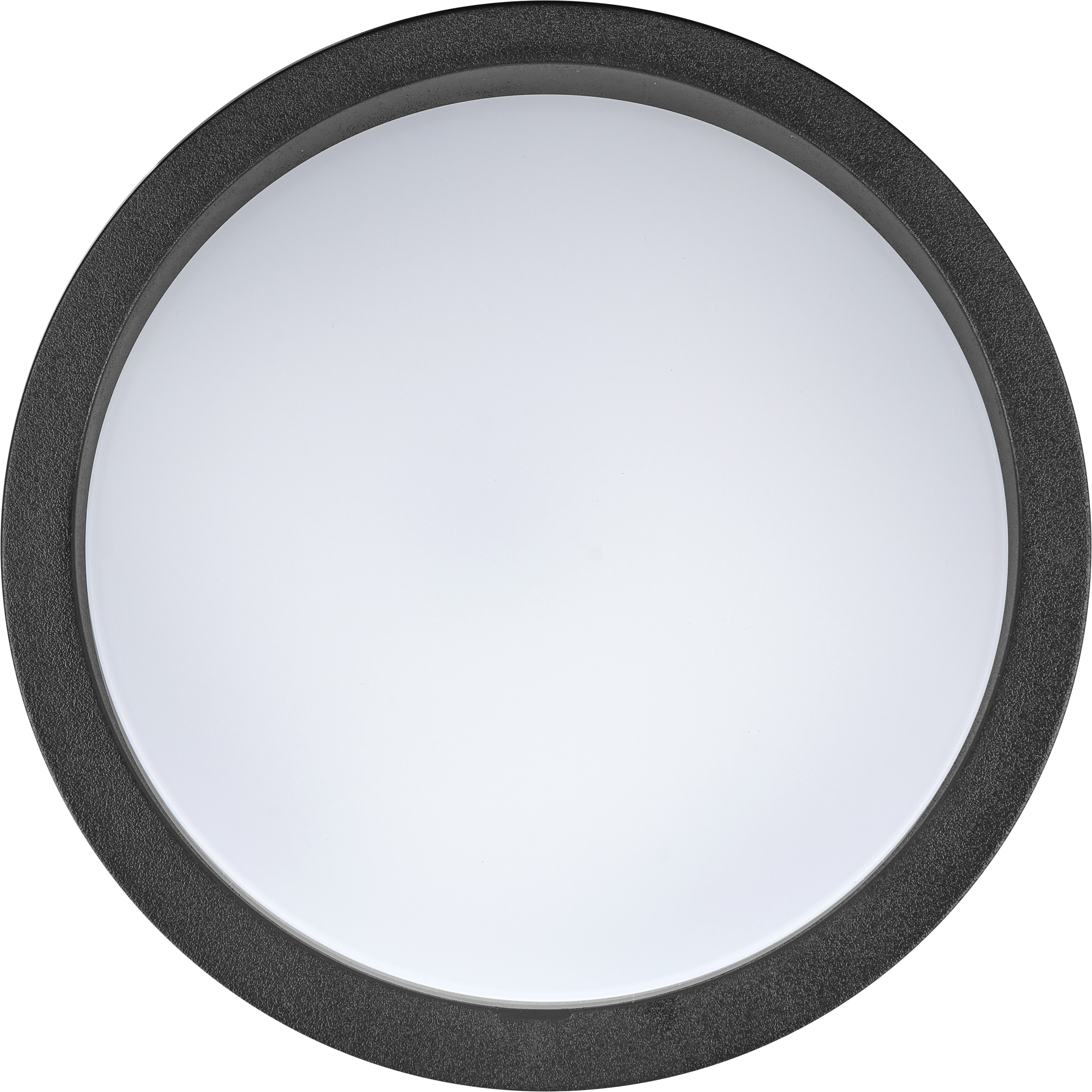Luceco Liptus Decorative Outdoor Bulkhead Wall  Light with Colour Change (CCT), LED Exterior Lighting, Black, 220mm, IP65, 15W, 1350lm