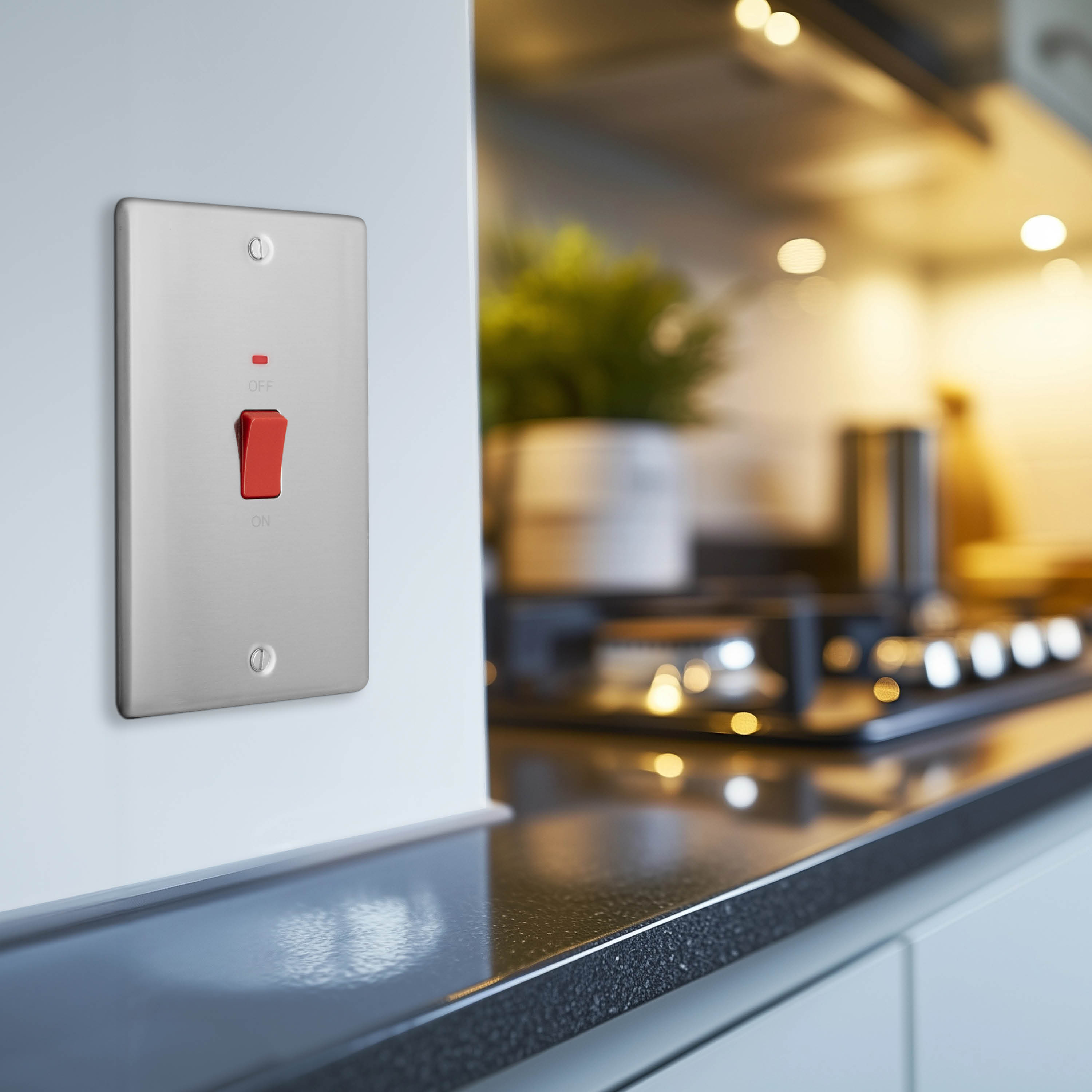 45 Amp Double Pole Switches | BG Electrical