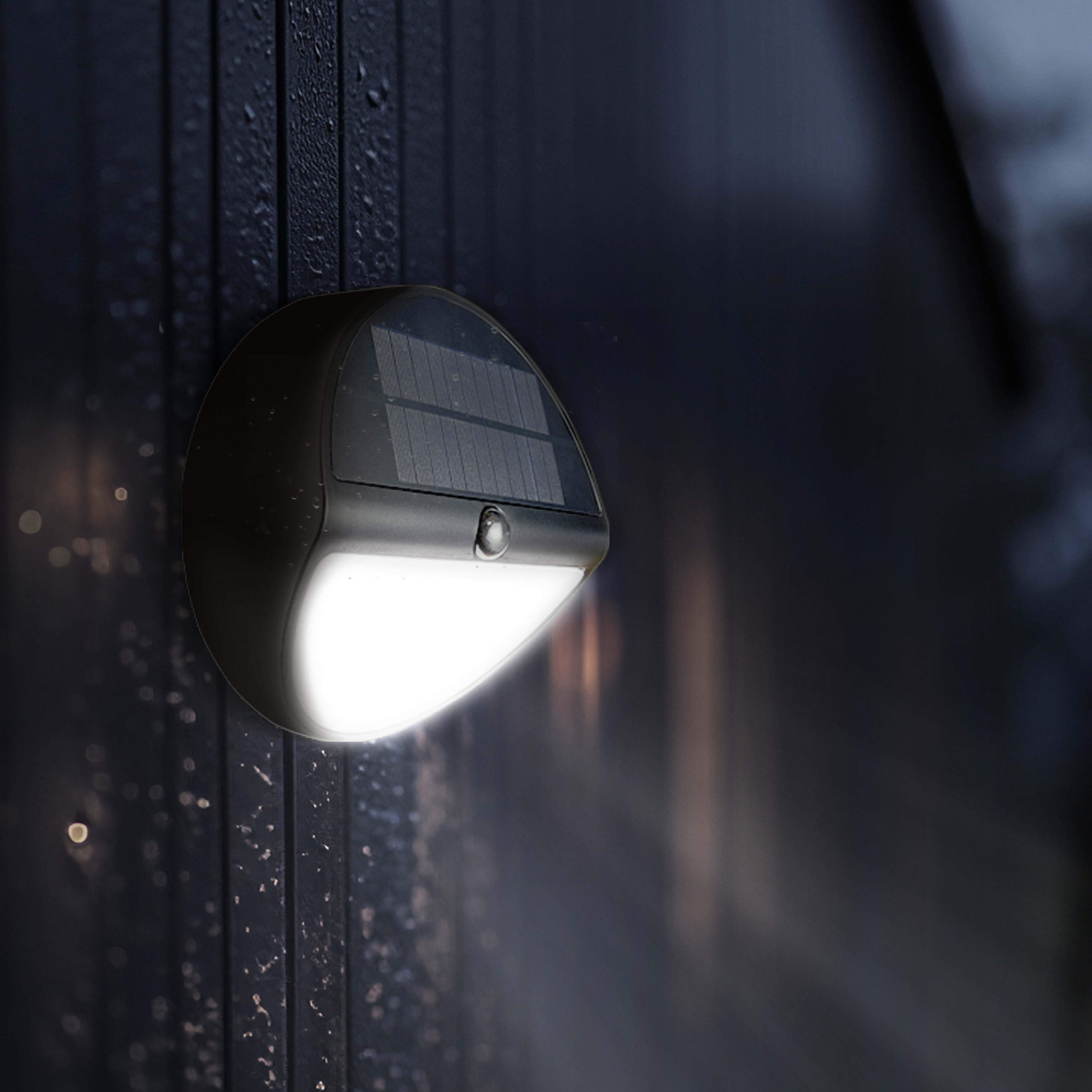 3000x3000 20241104JF