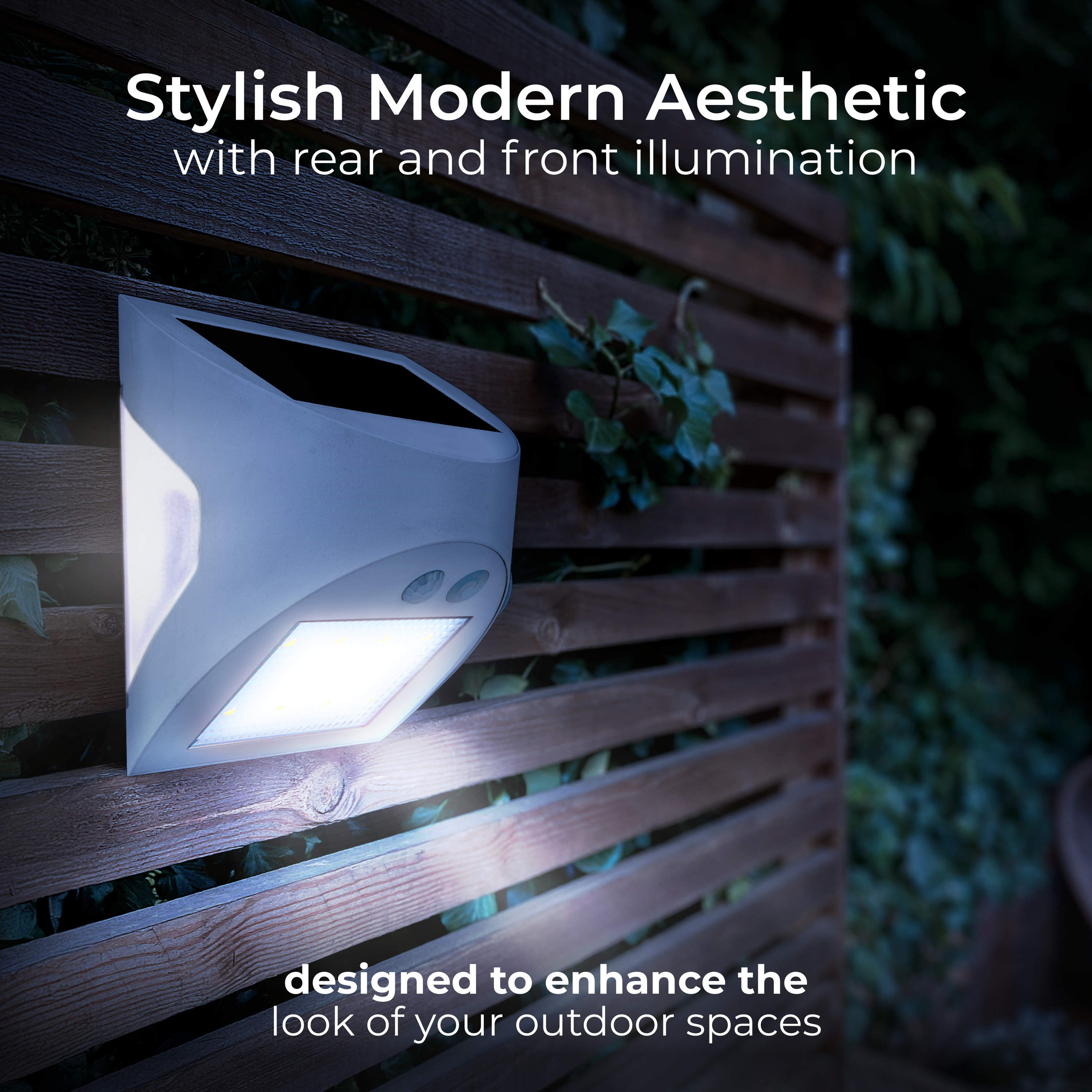 3000x3000 20241104JF