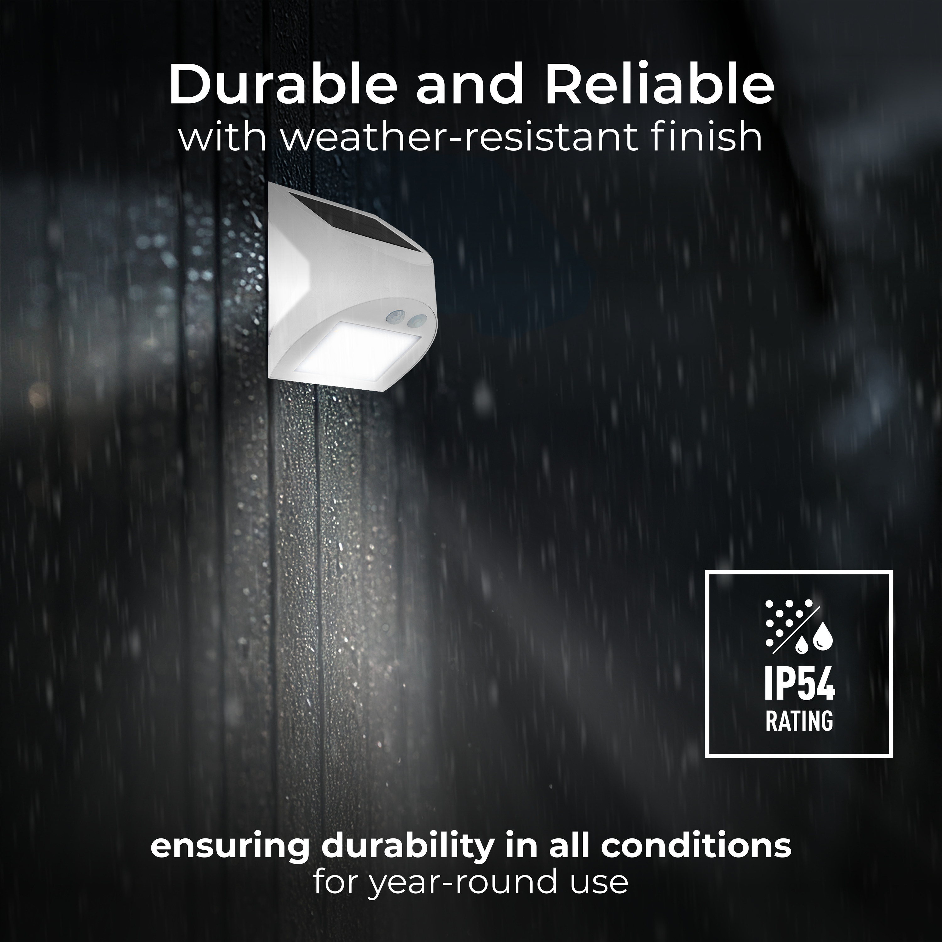 3000x3000 20241104JF