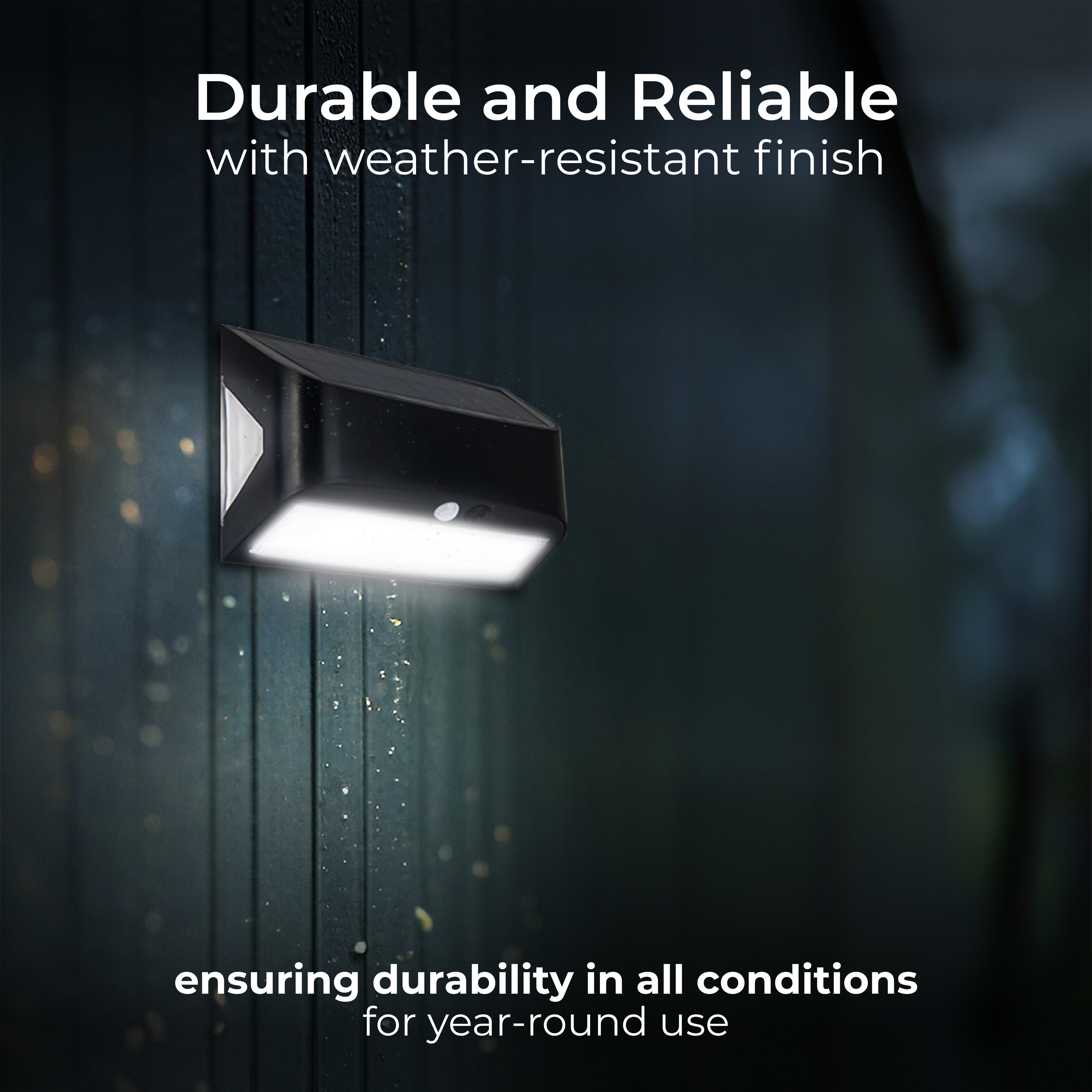 3000x3000 20241104JF