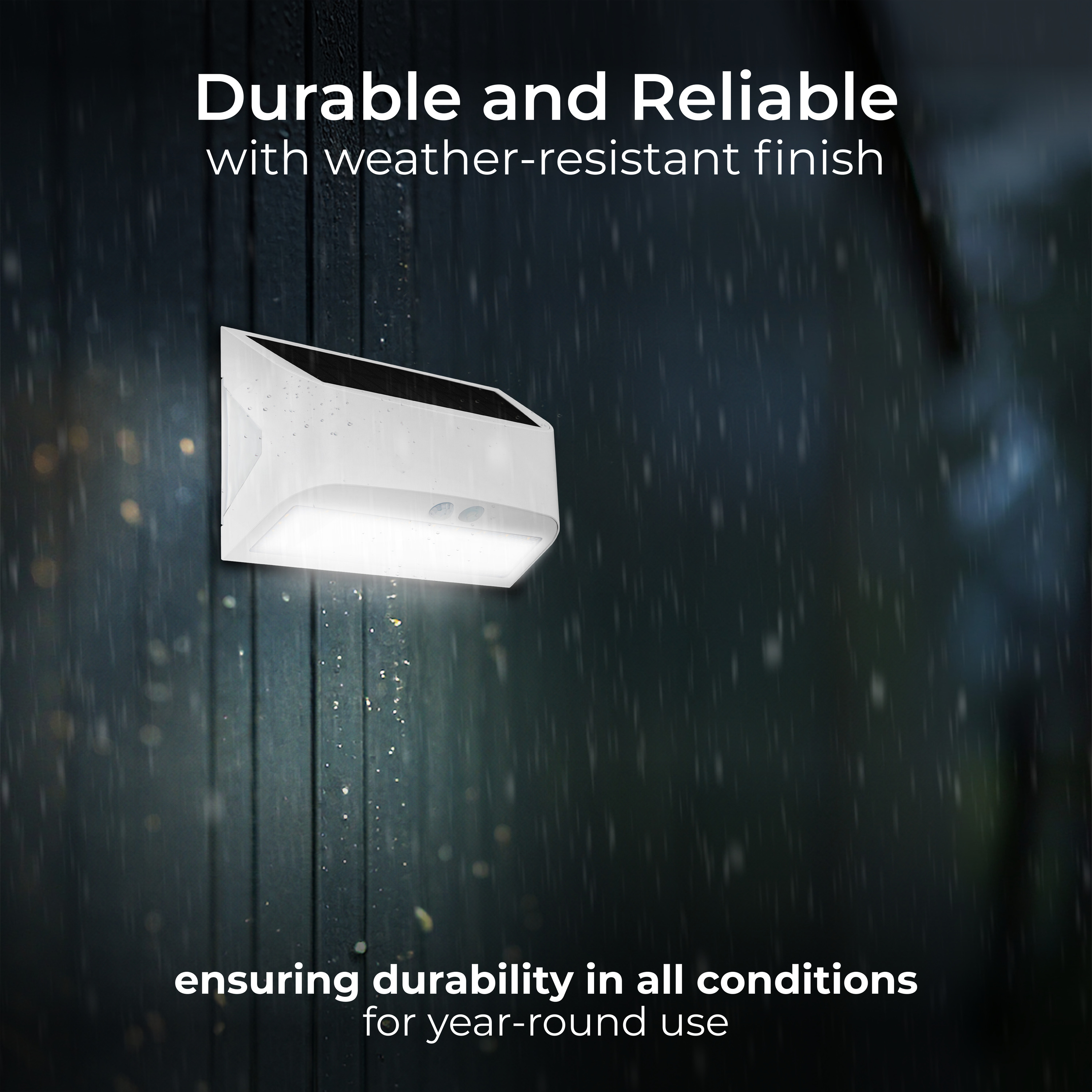 3000x3000 20241104JF