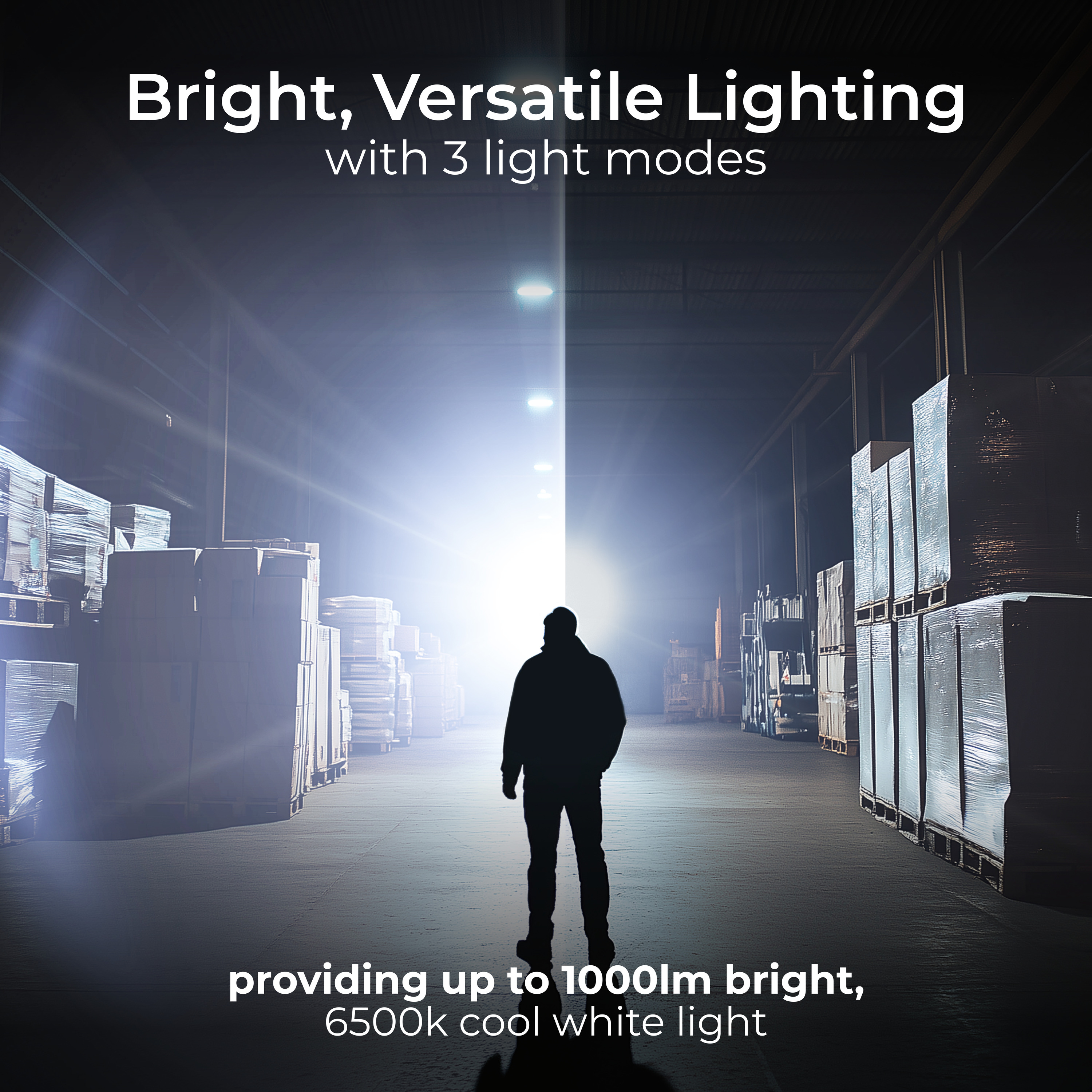 3000x3000 20241104JF