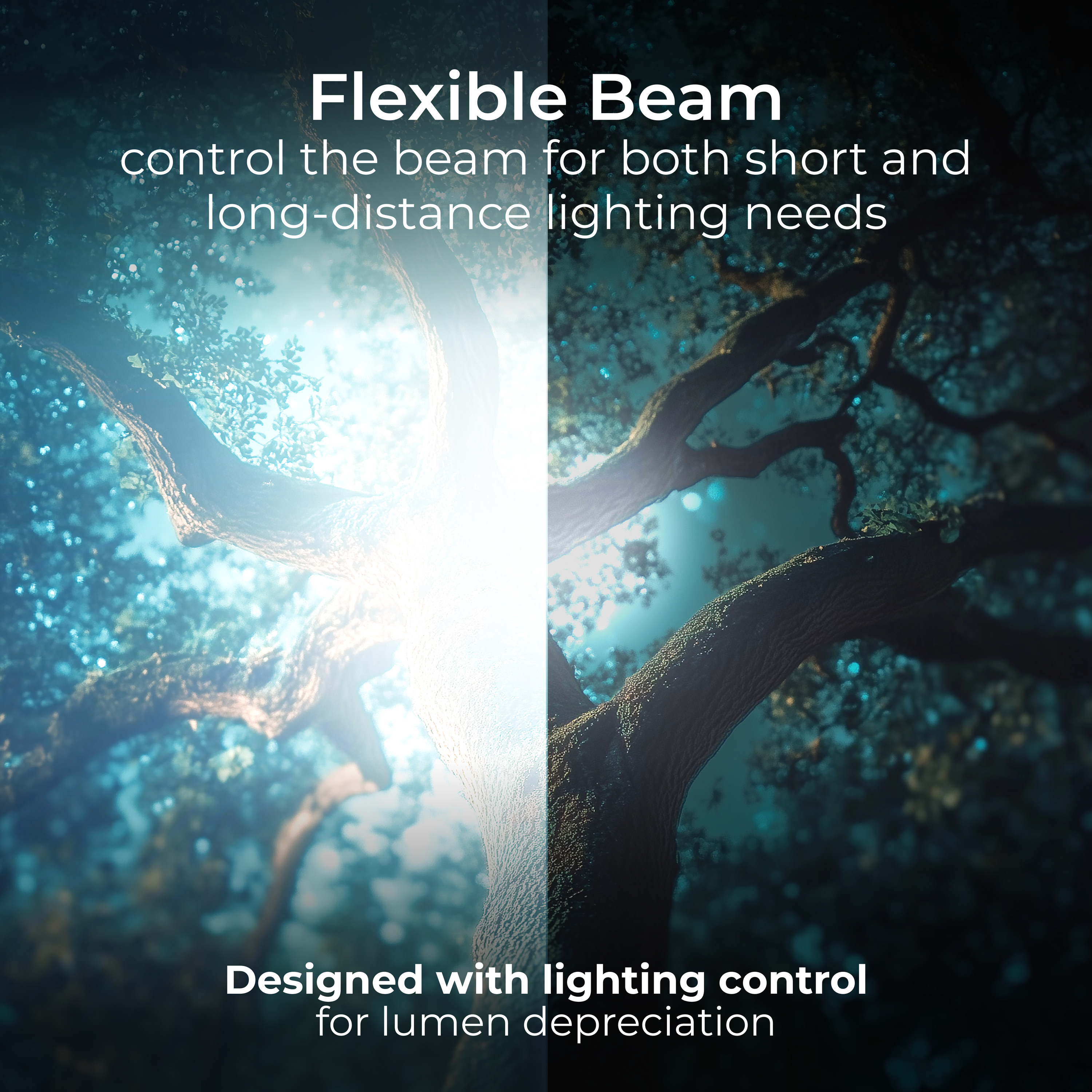 3000x3000 20241104JF