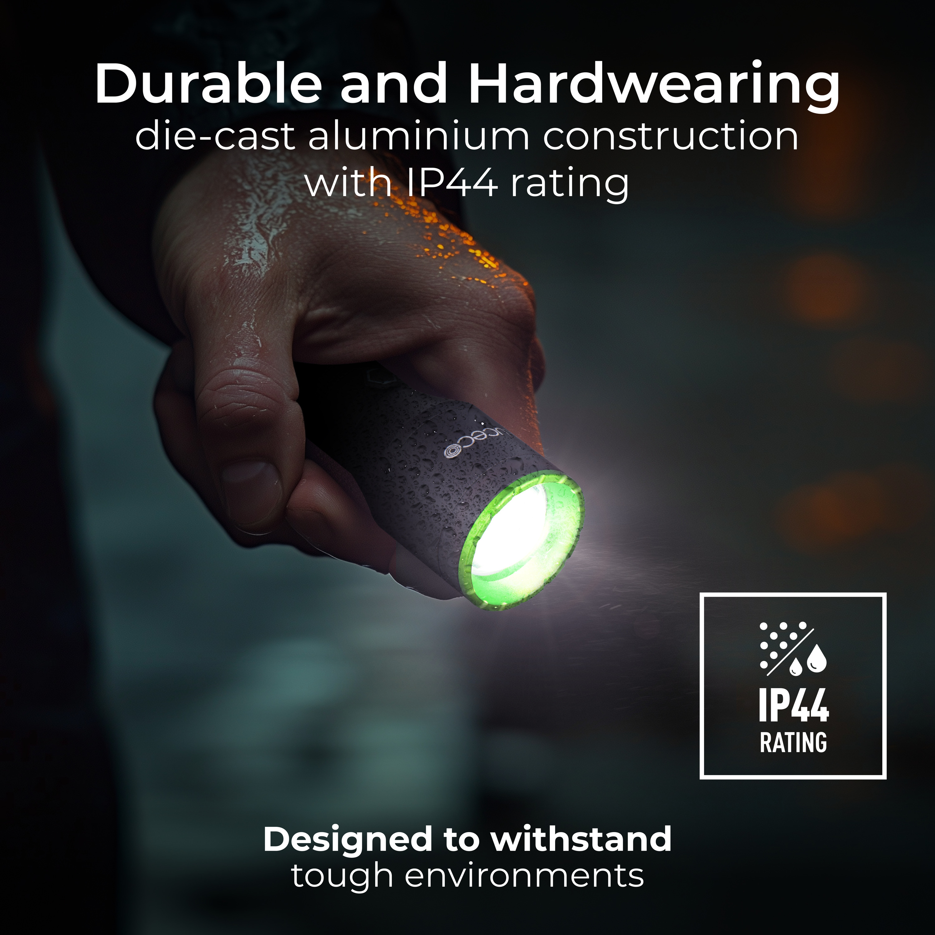 3000x3000 20241104JF