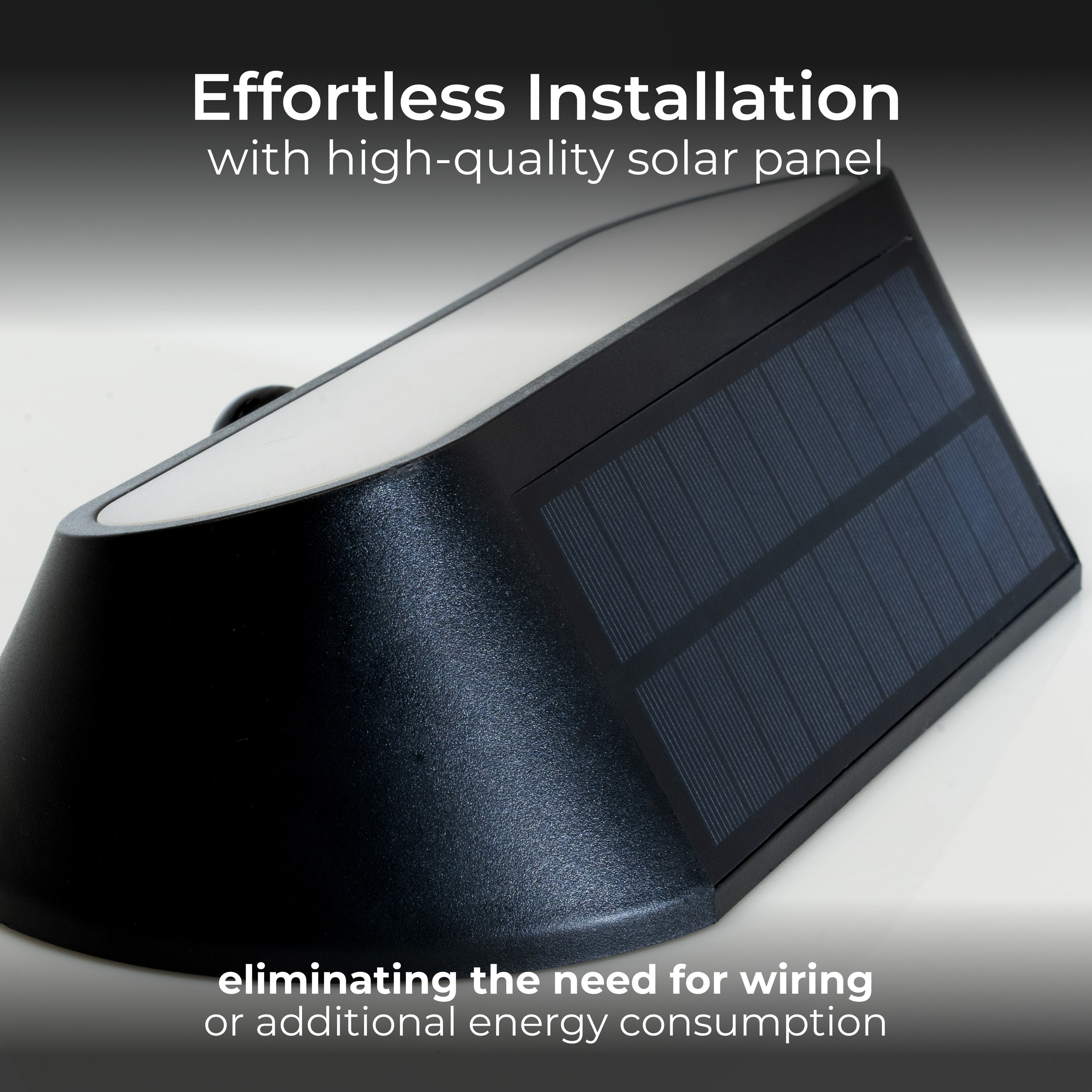 3000x3000 20241104JF