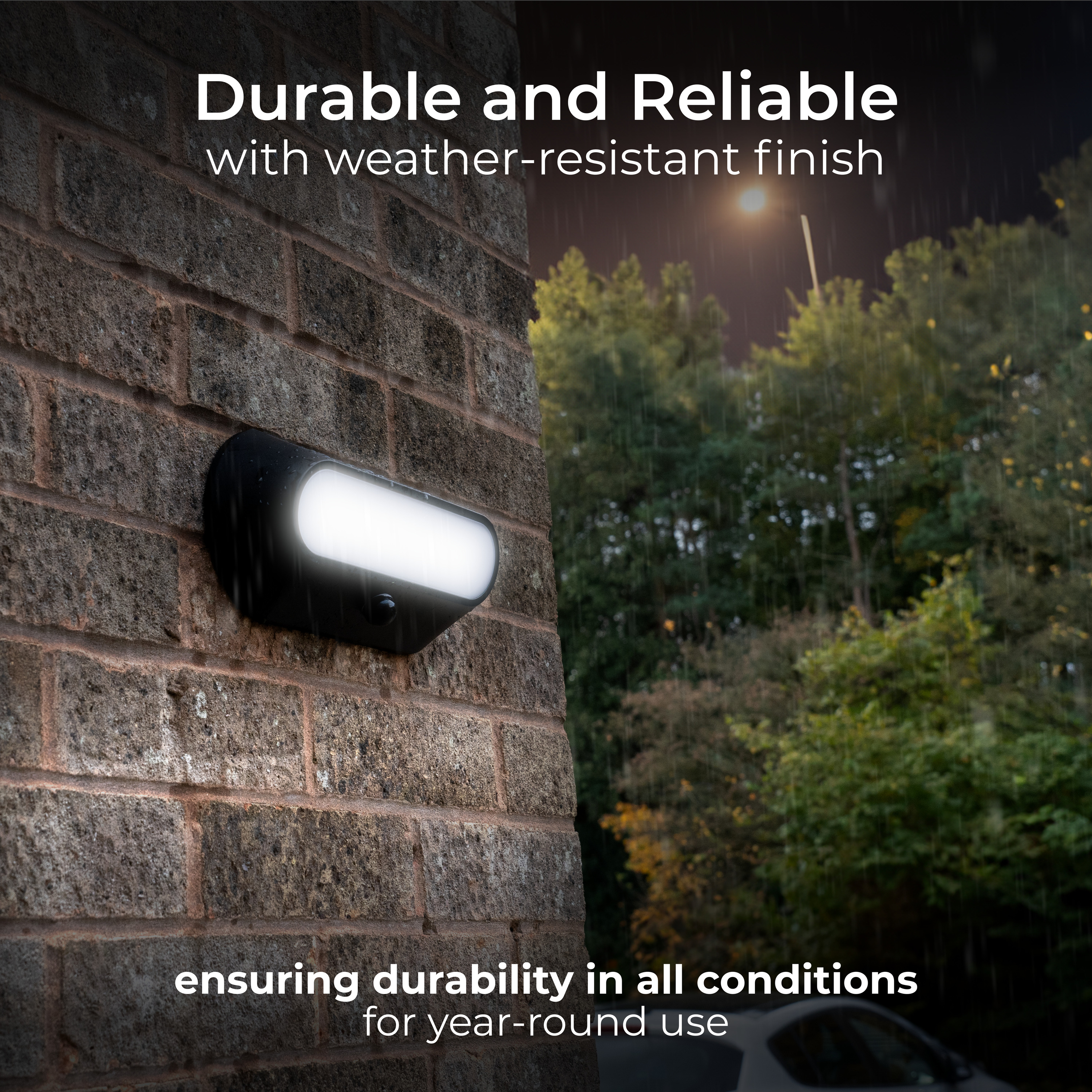 3000x3000 20241104JF