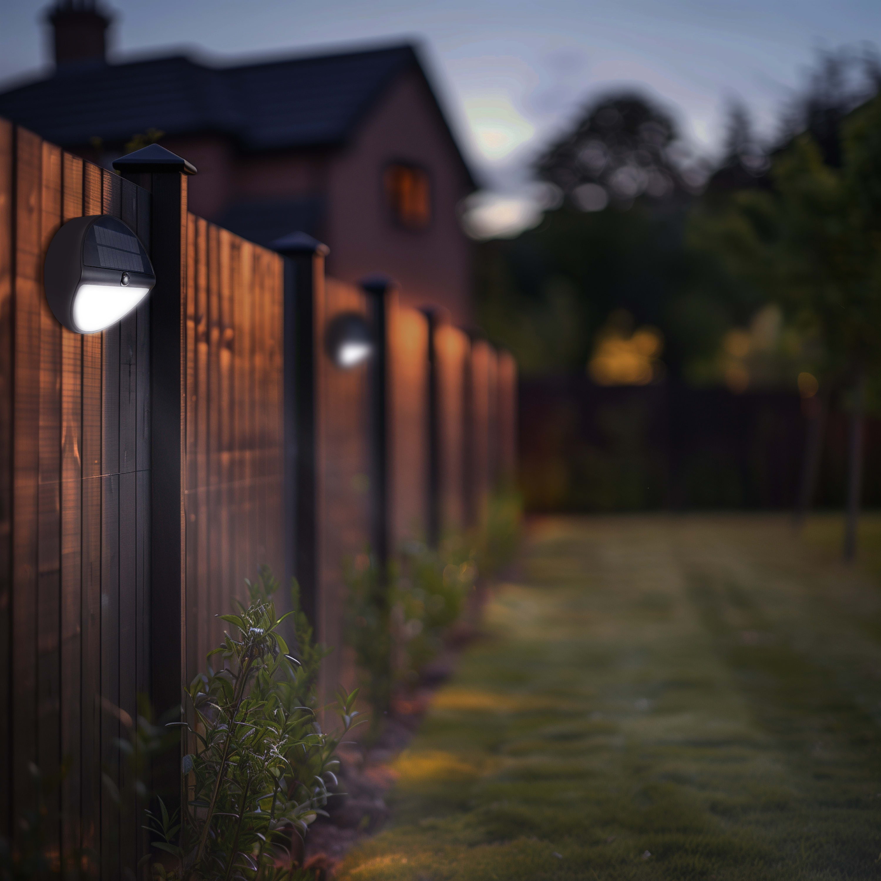 3000x3000 20241104JF