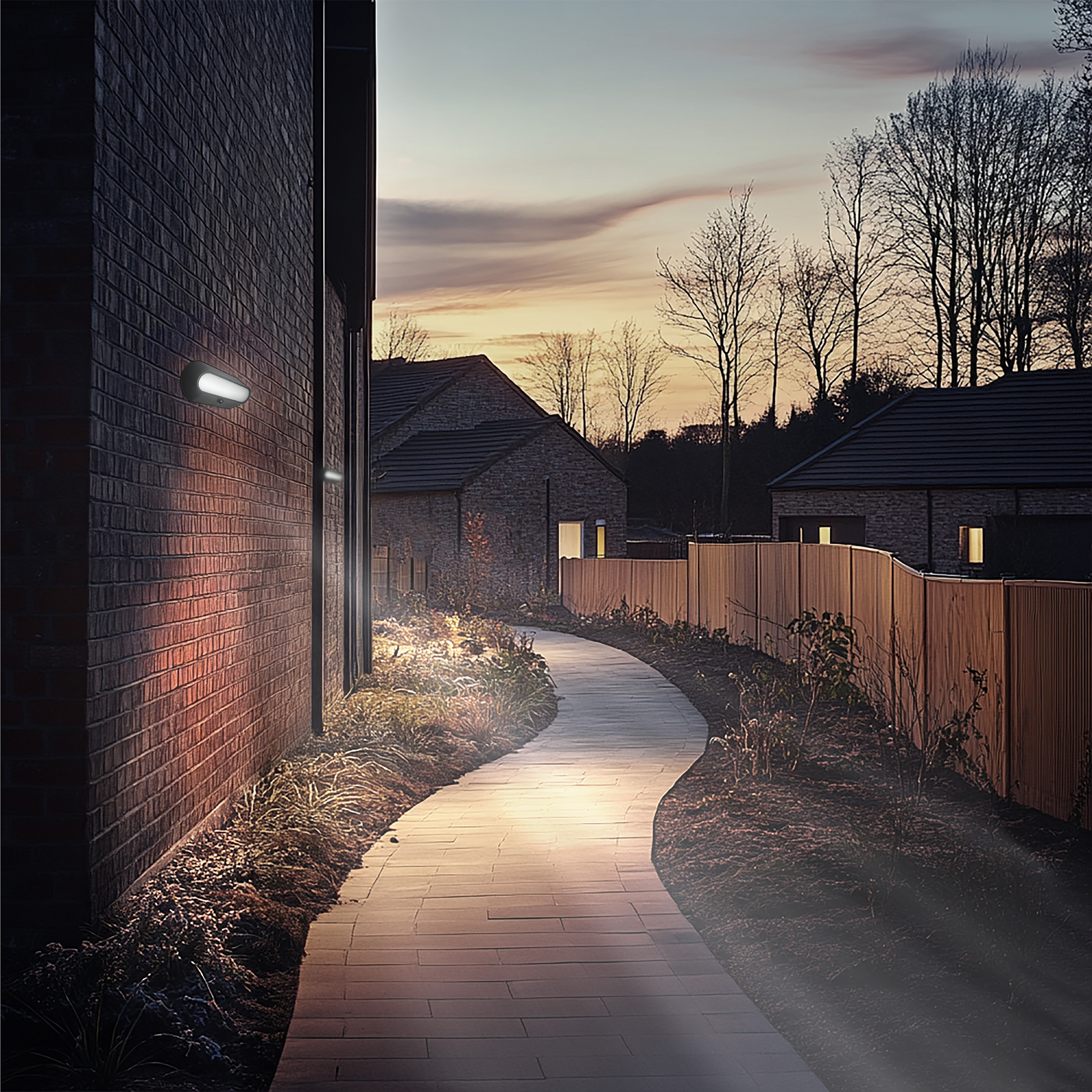 3000x3000 20241104JF