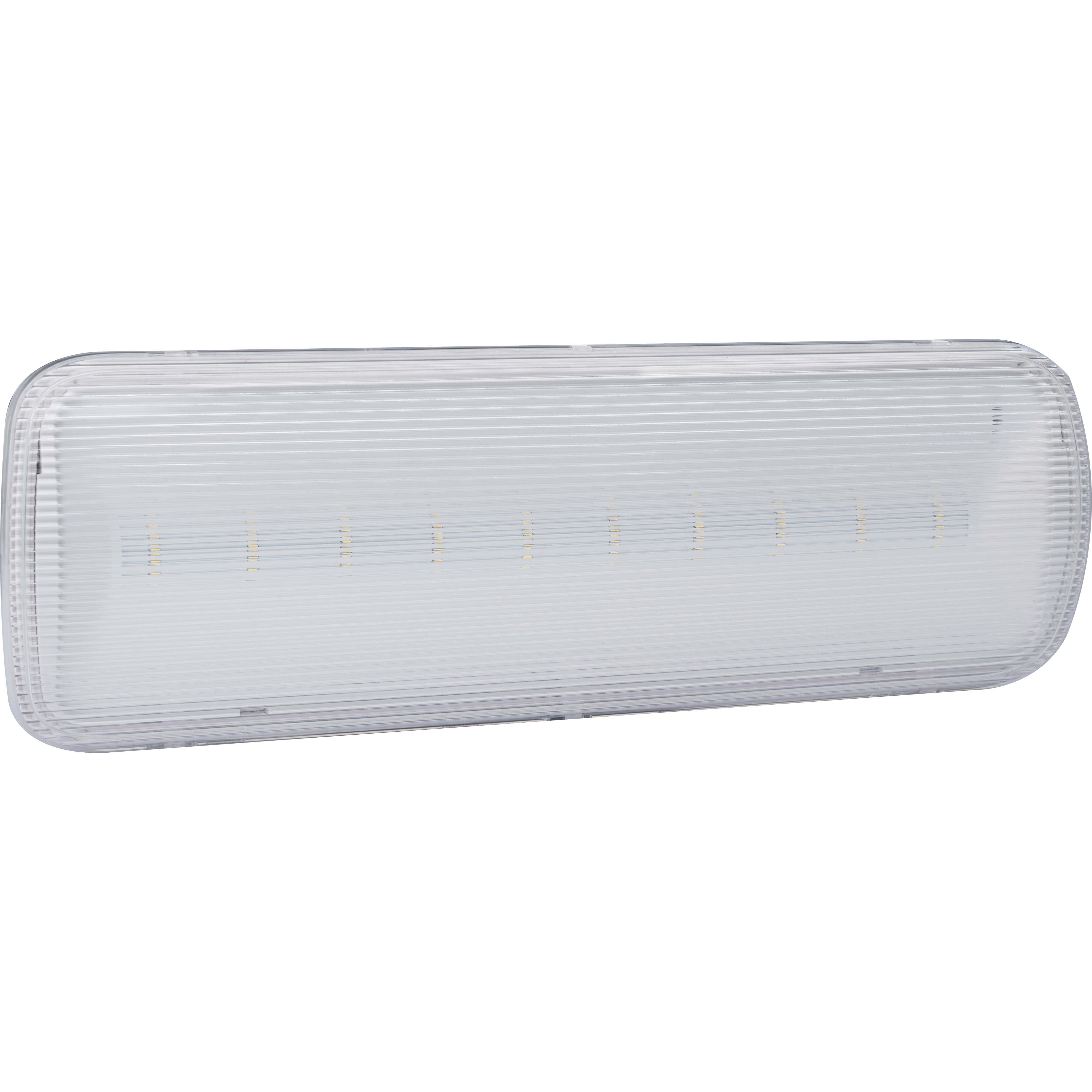 Tempus Connect Maintained Bulkhead, 1W, 150lm, with Legend Kit