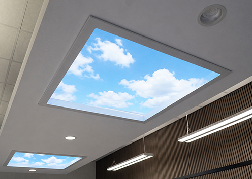 truesky 03 luweb p