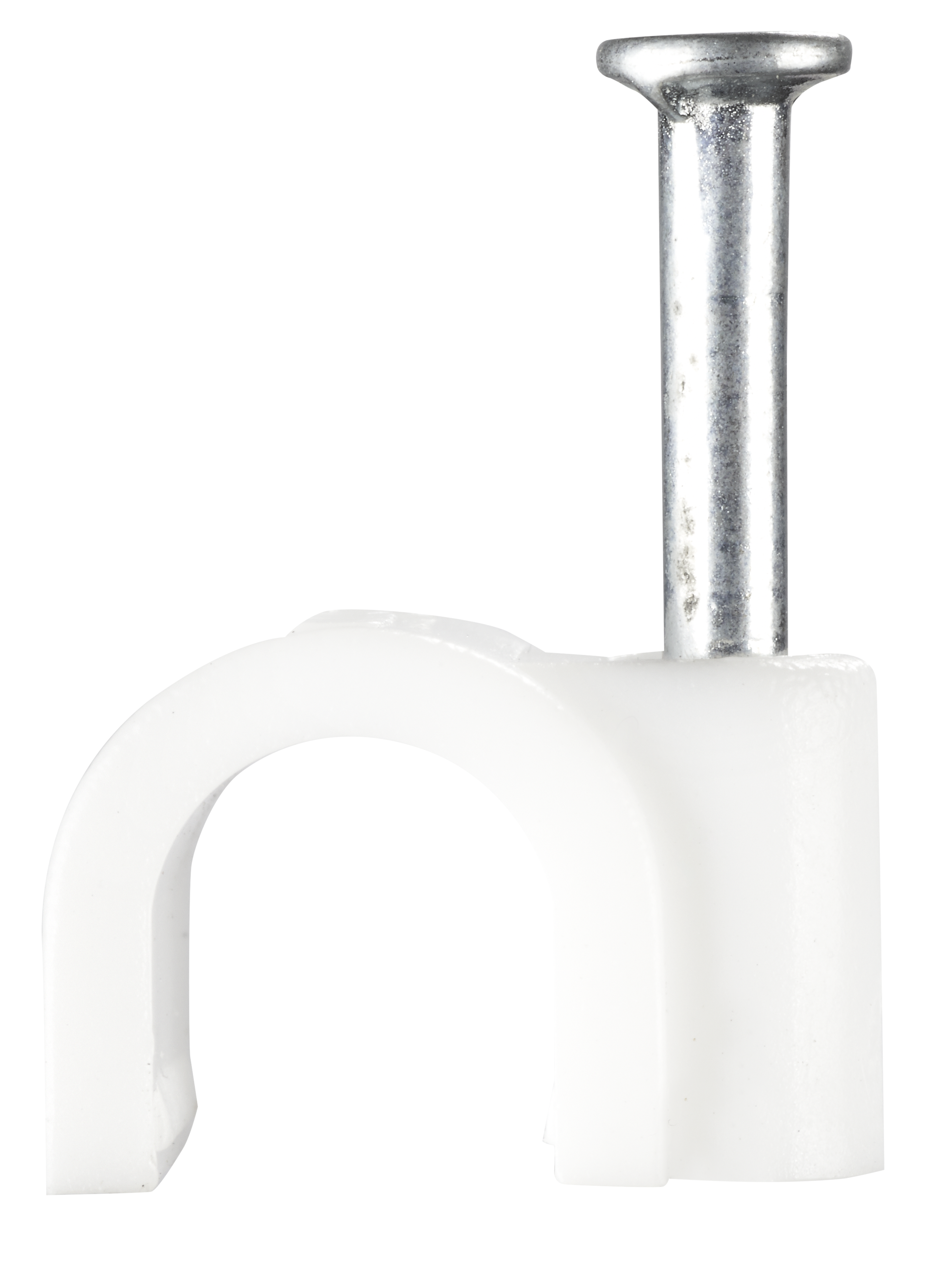 CCR6 CC Part BG CCR6 0220 A3 BASE