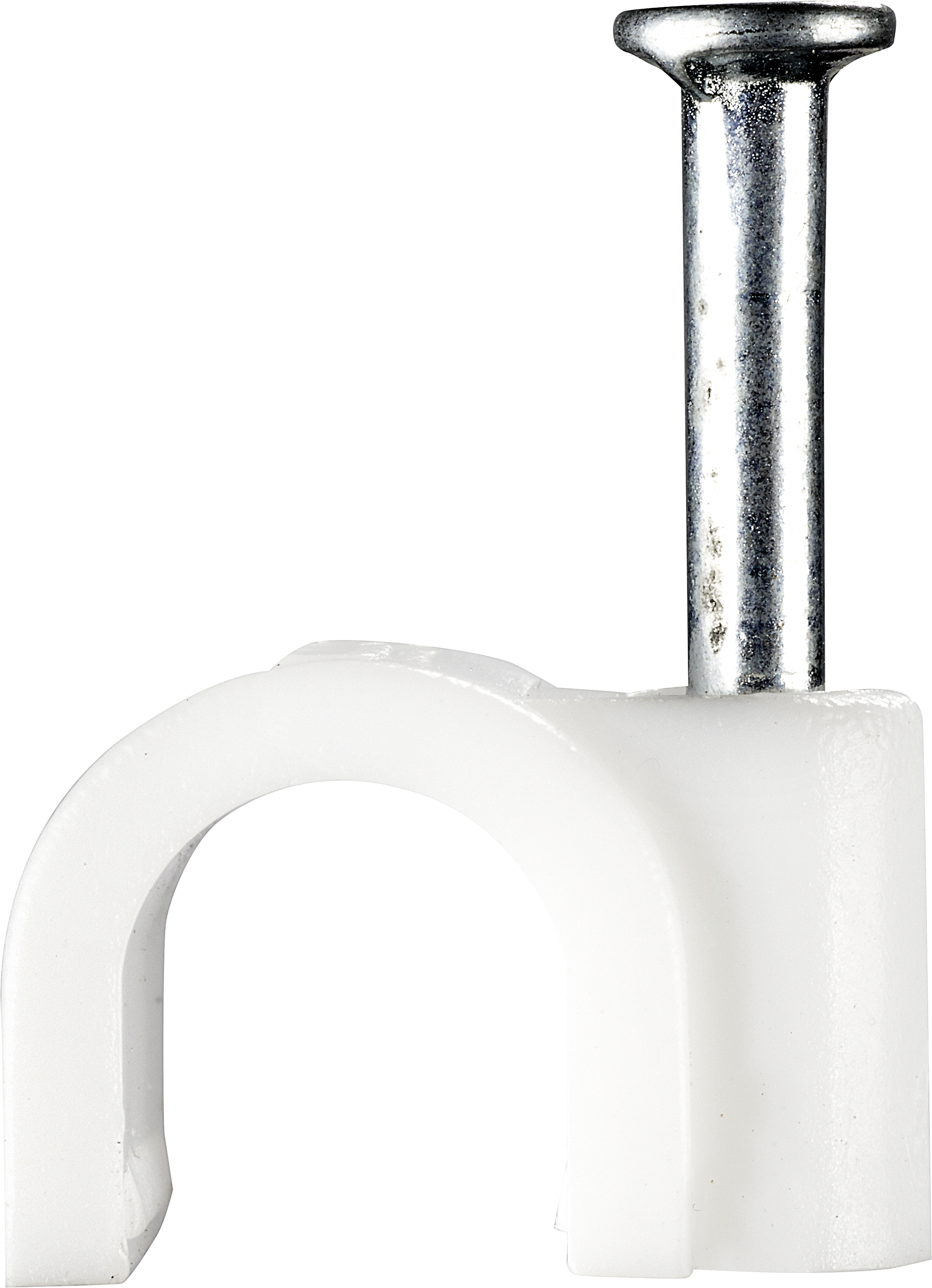 CCR7 CC Part BG CCR7 0220 A3 BASE