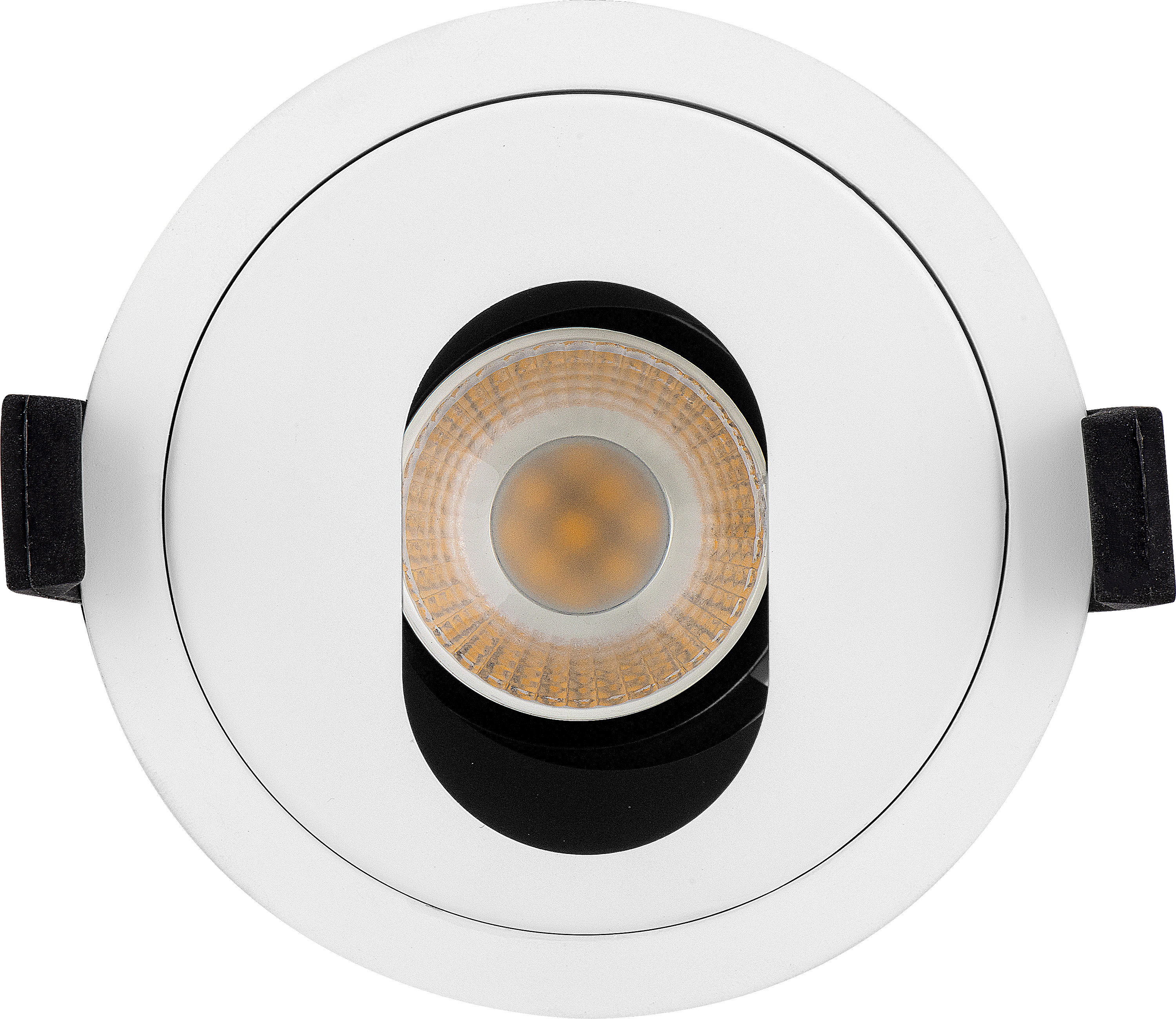 Palladium downlight 660 lumens with brushed steel adjustable bezel
