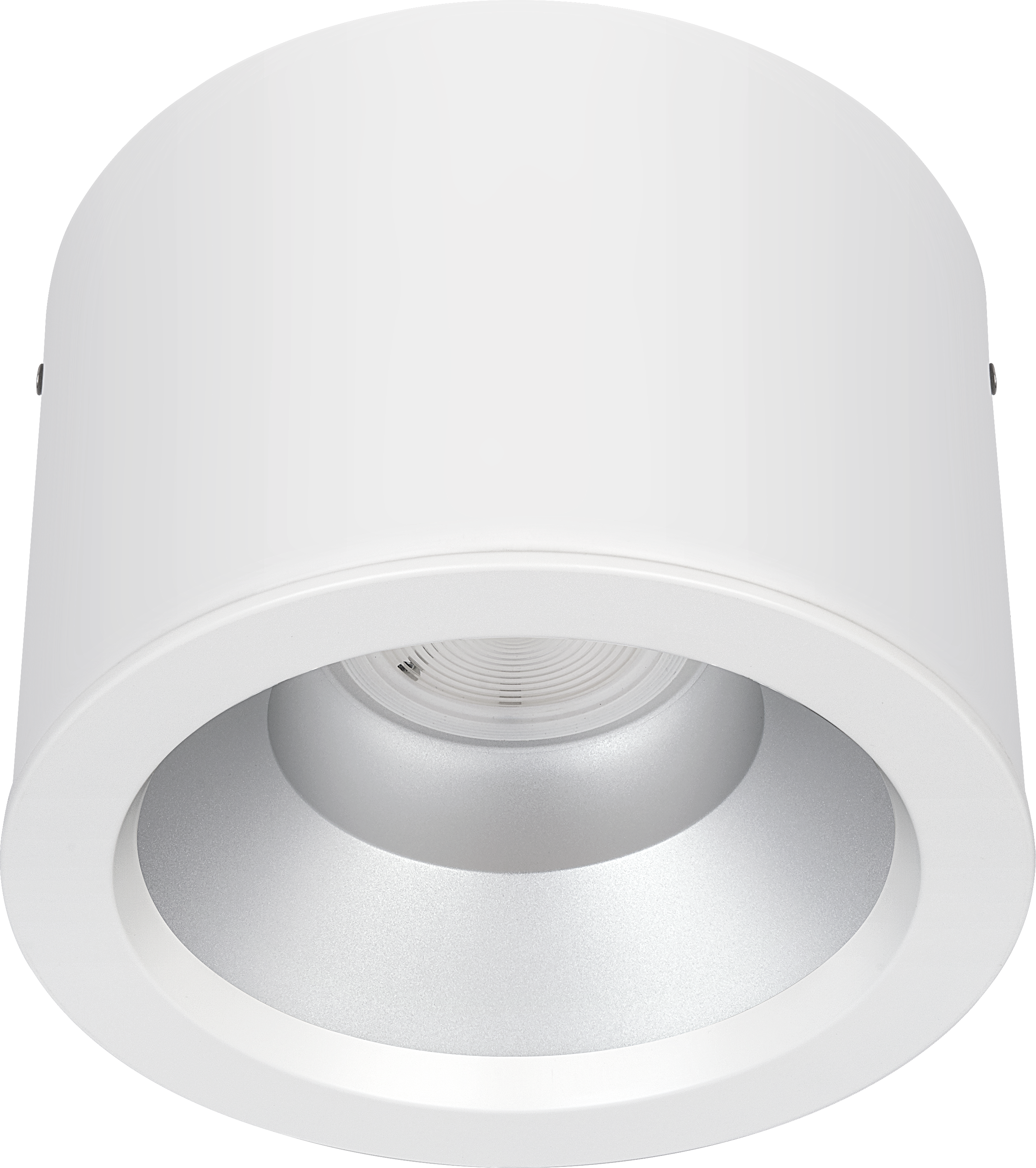 Platinum surface downlight matt reflector 218mm 1200 lumen with fixed output driver