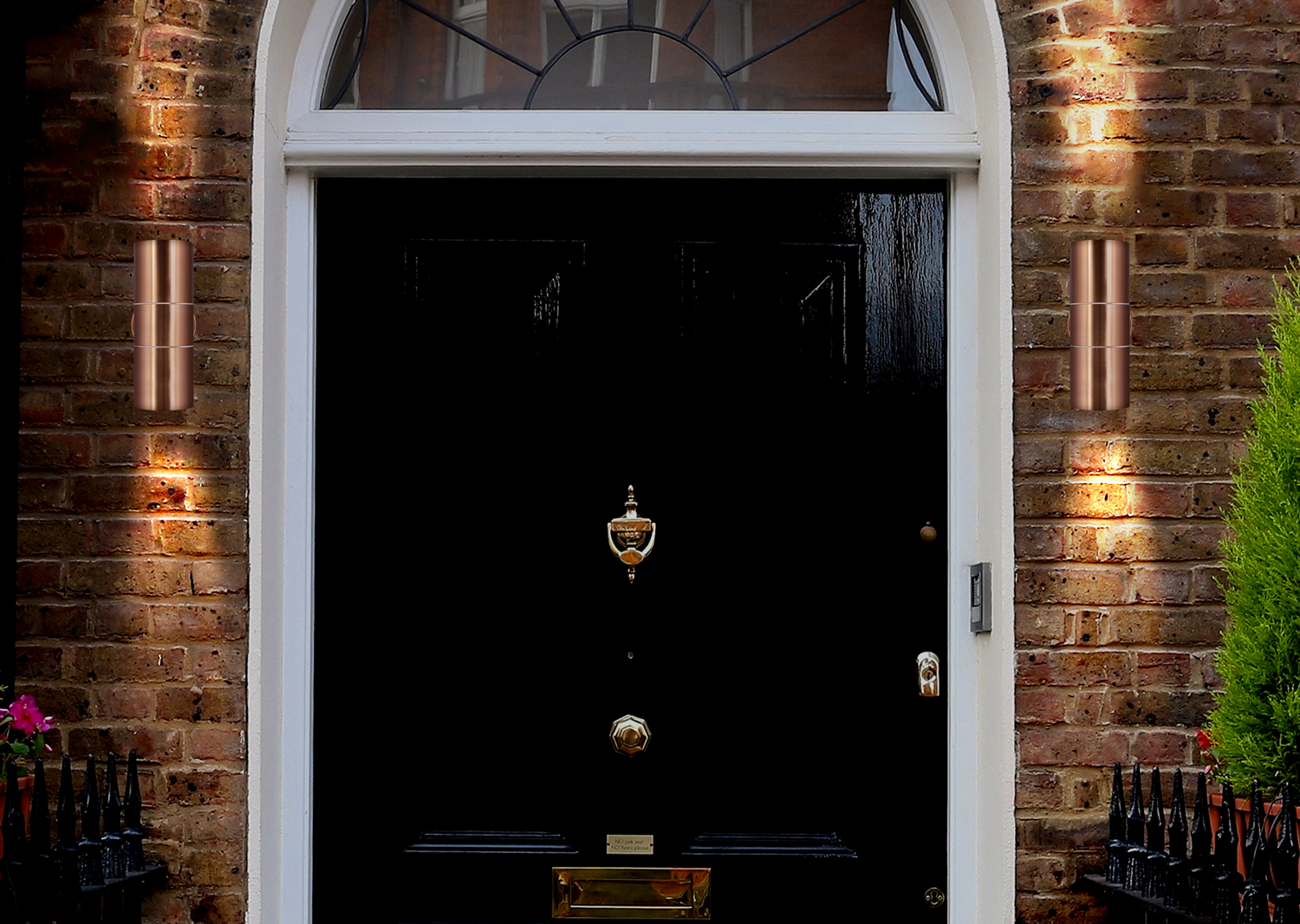 luweb-exd 20220421JW