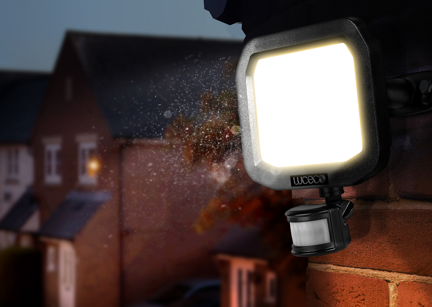 luweb-exd 20220421JW