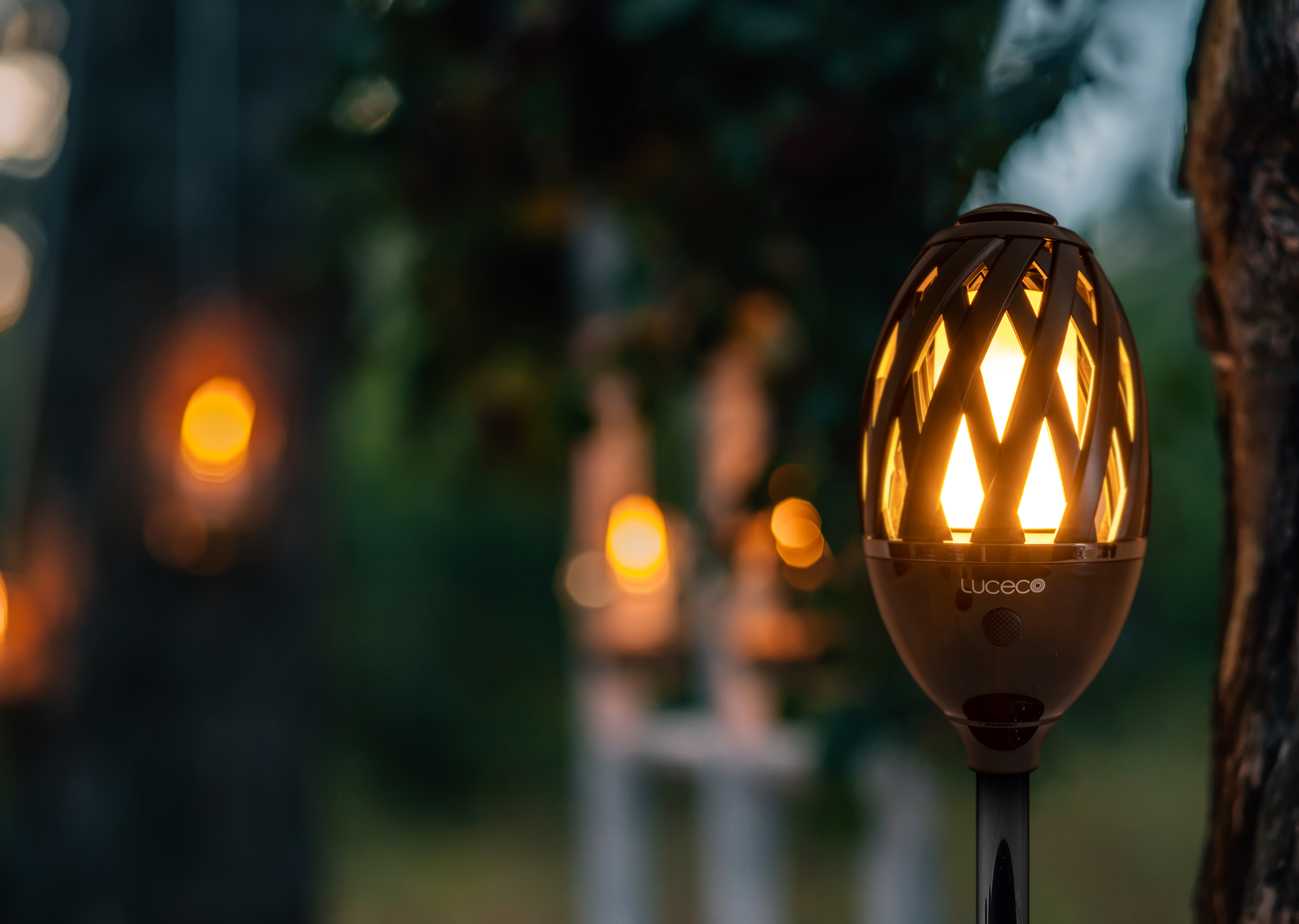 luweb-exd 20220421JW