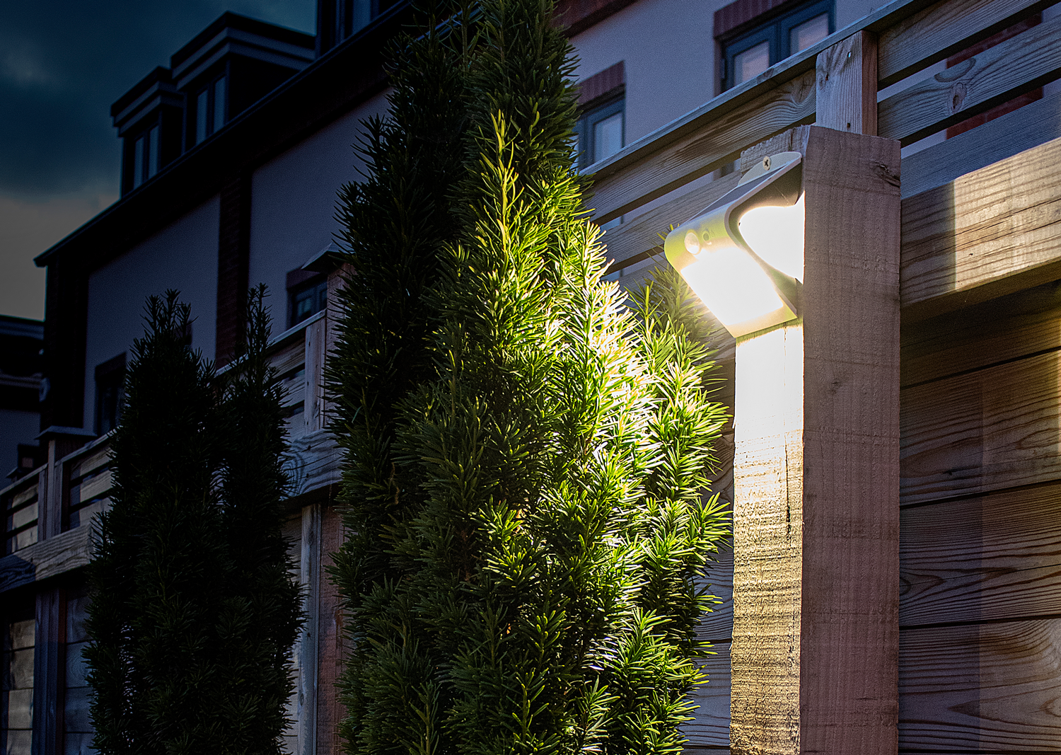 luweb-exd 20220421JW