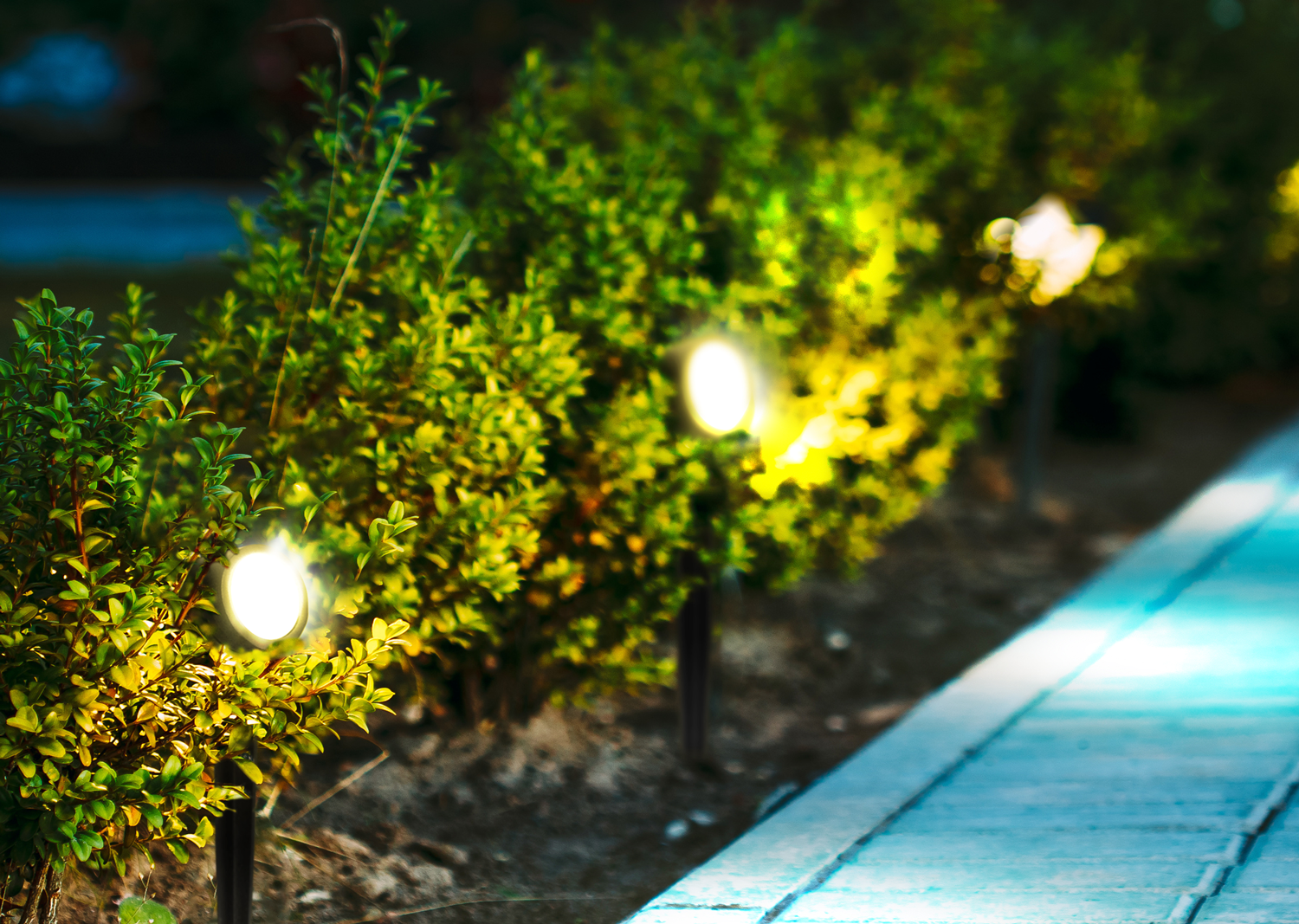 luweb-exd 20220421JW