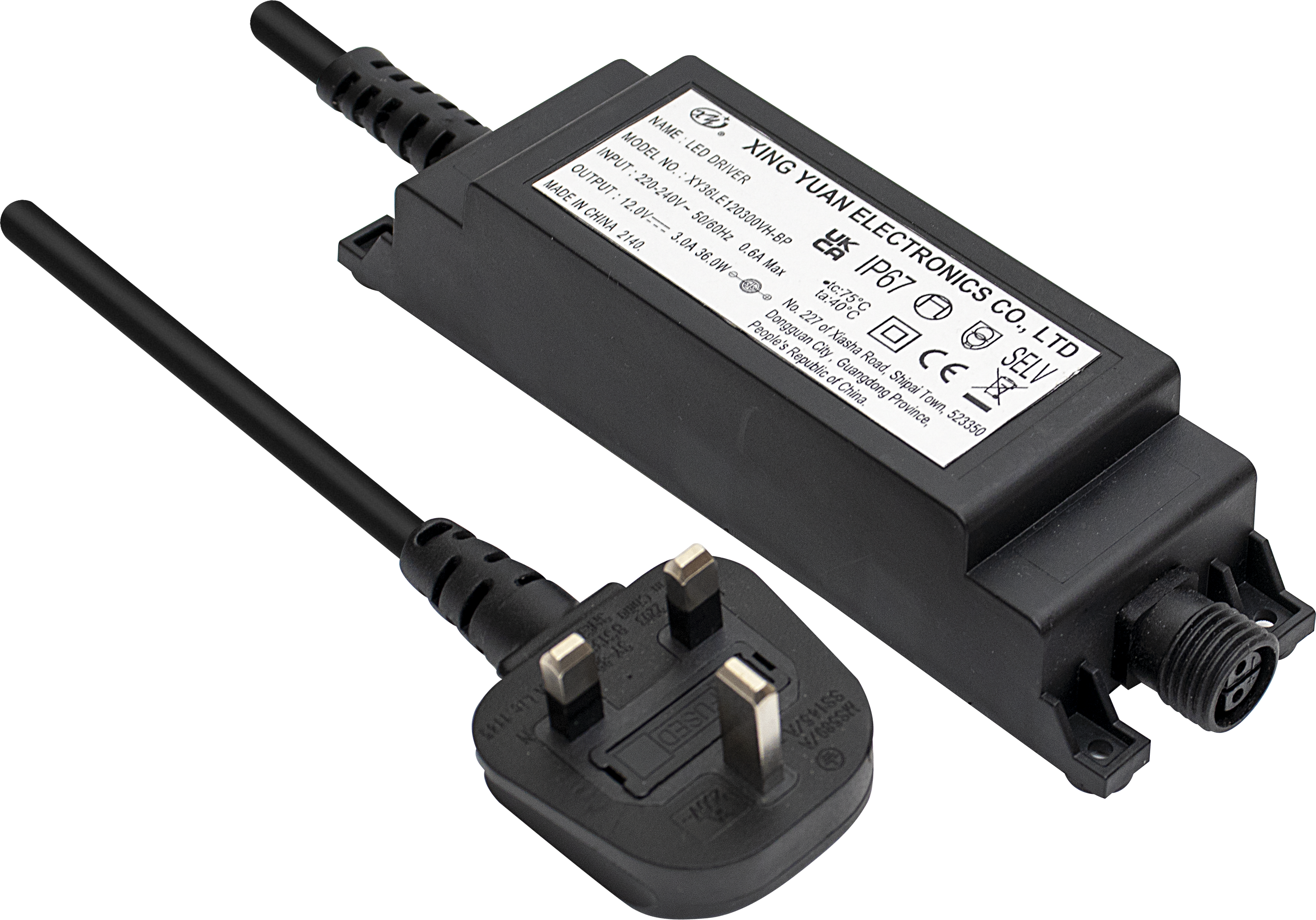Luceco Exterior Festoon 10m Starter Pk