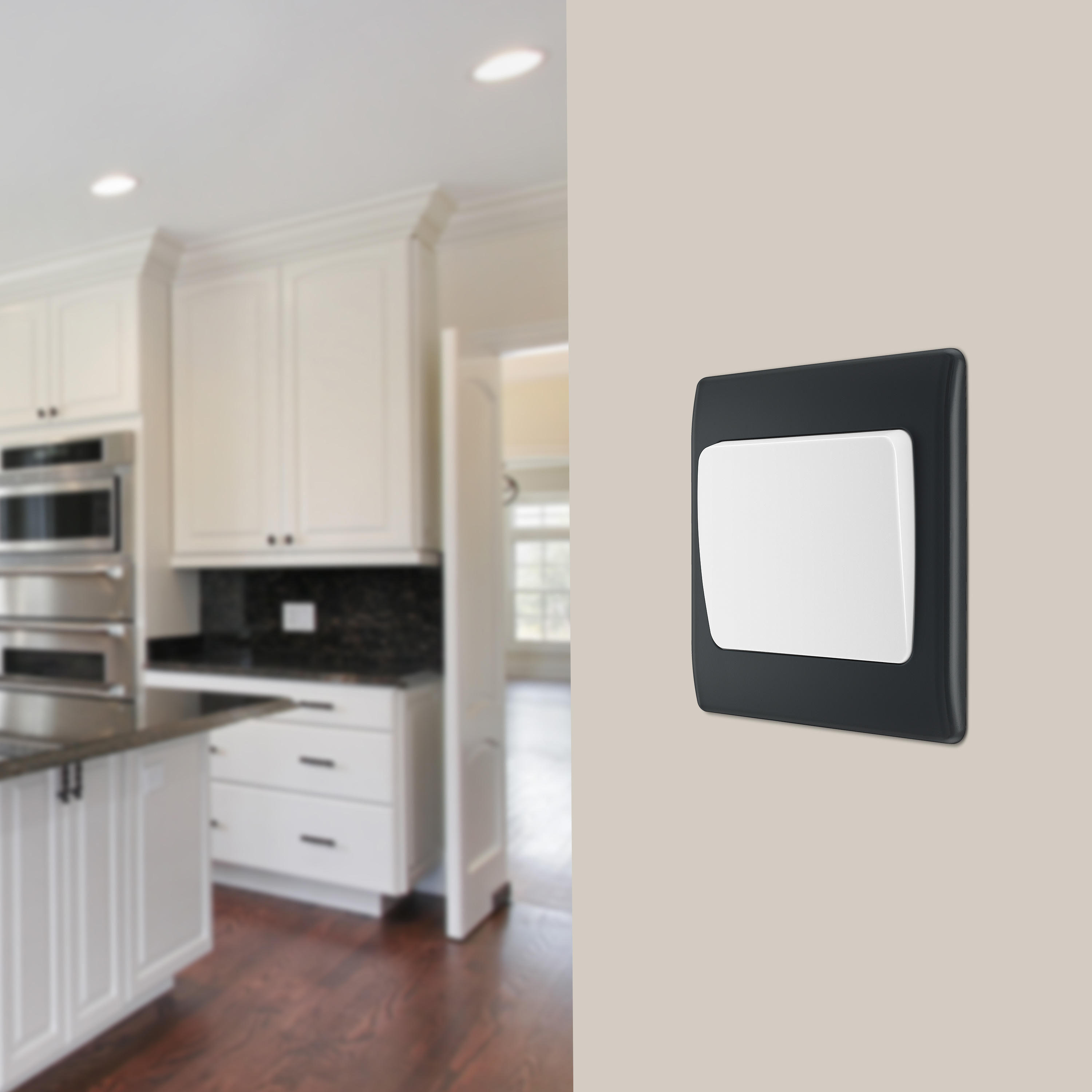 INSITU-3000x3000 20230531DM