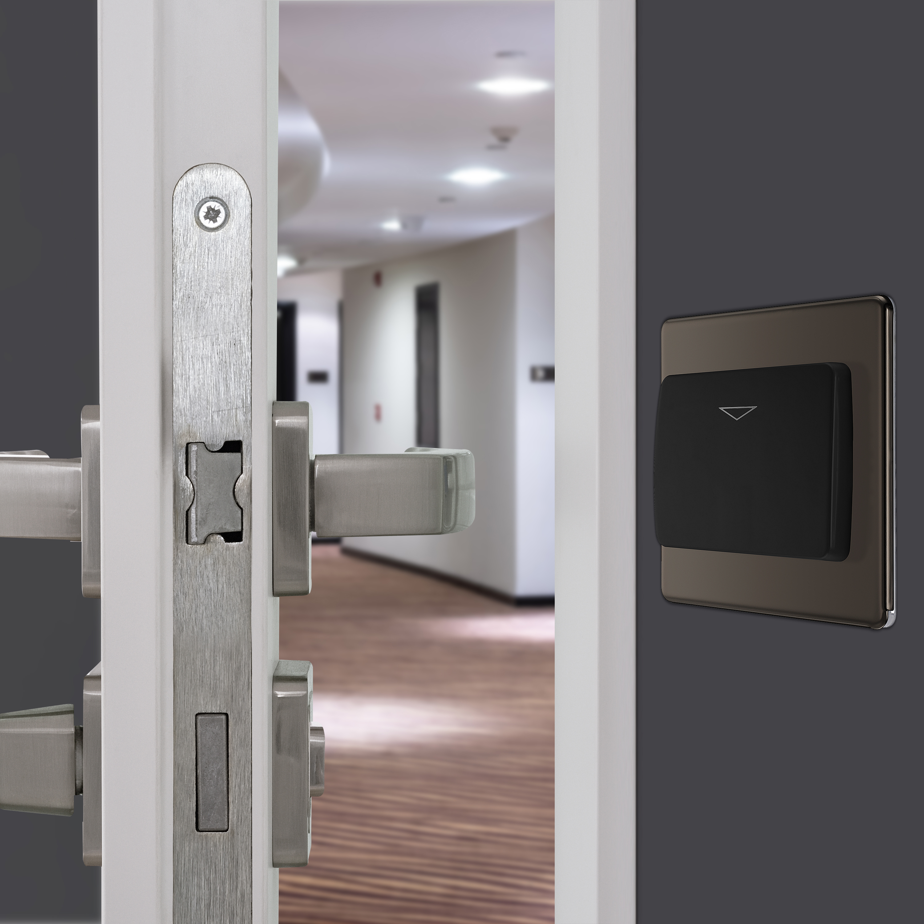 INSITU-3000x3000 20230531DM