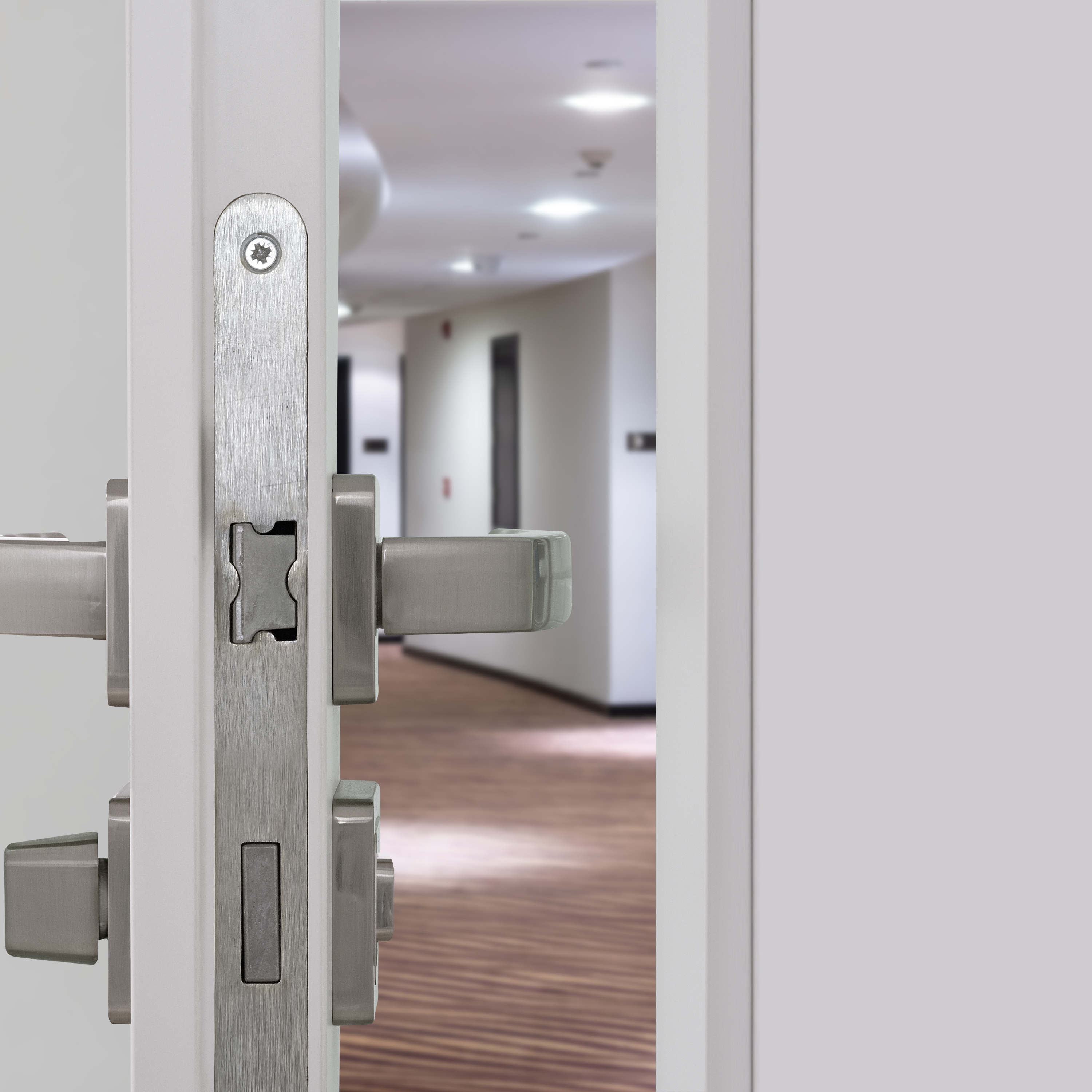 INSITU-3000x3000 20230531DM