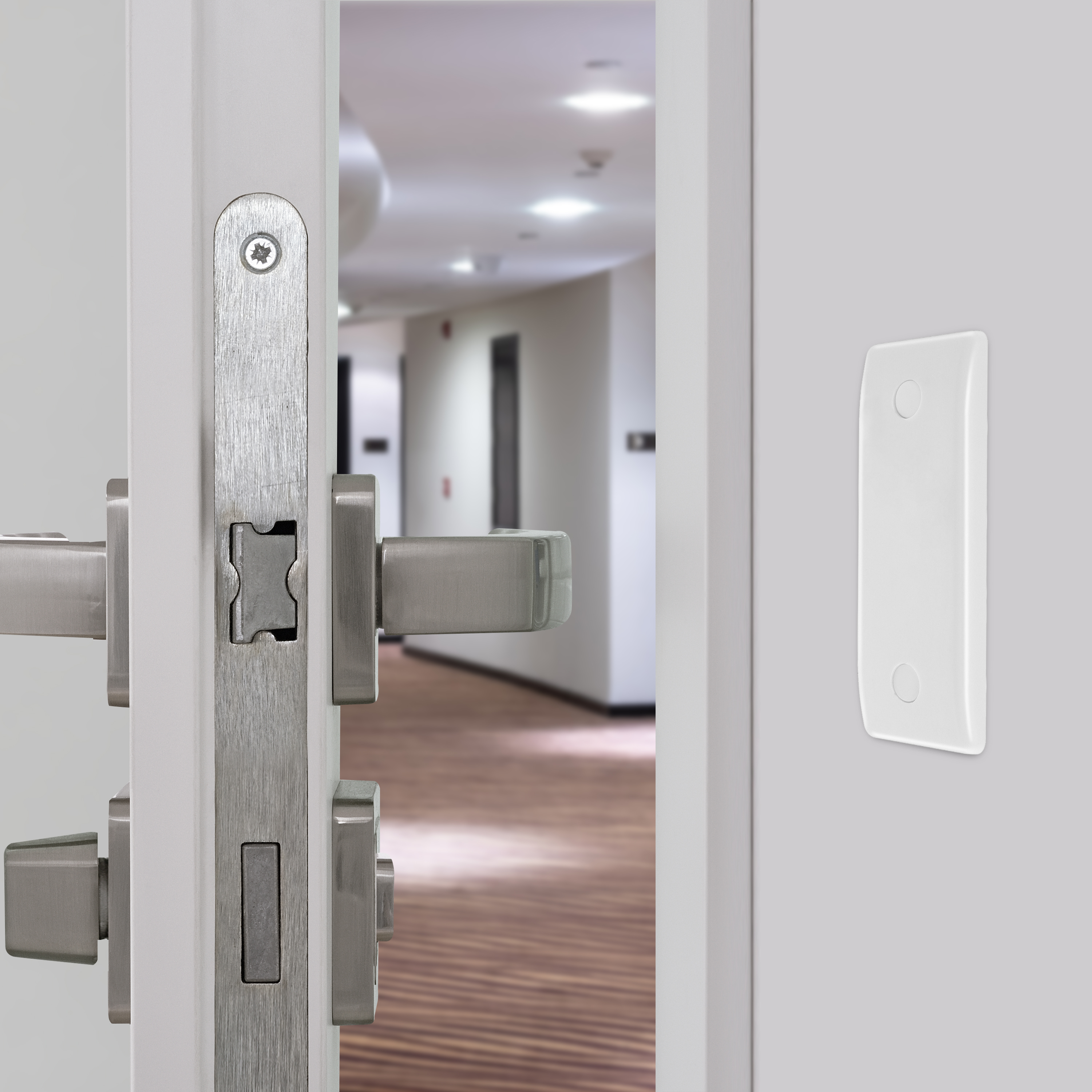 INSITU-3000x3000 20230531DM