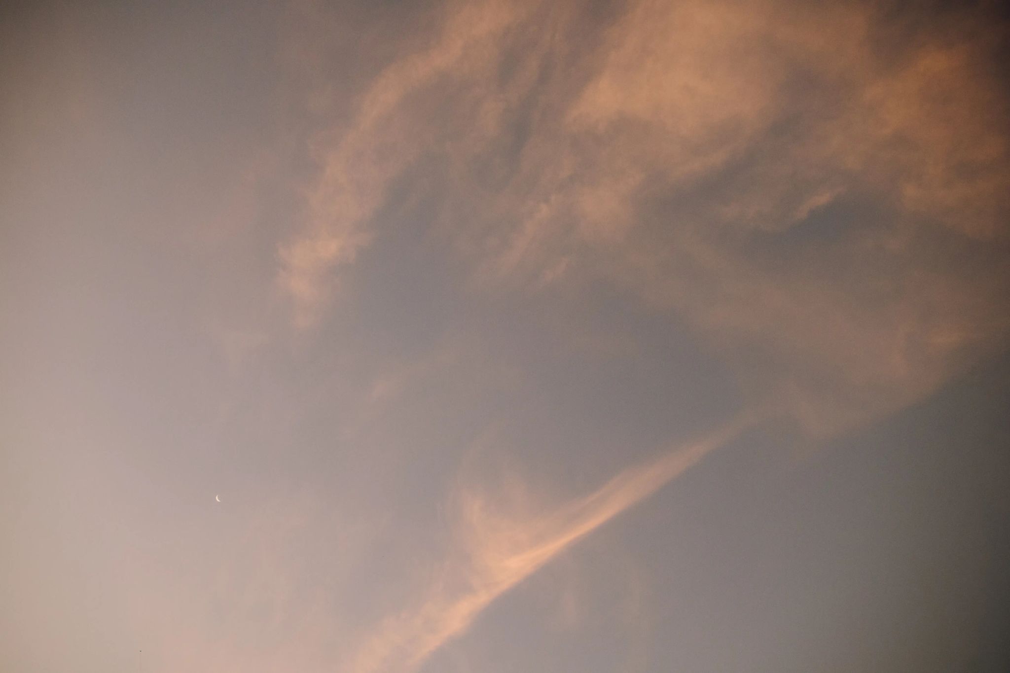 COICE Edition 5 - Photo 12