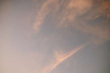 small photos on the bottom