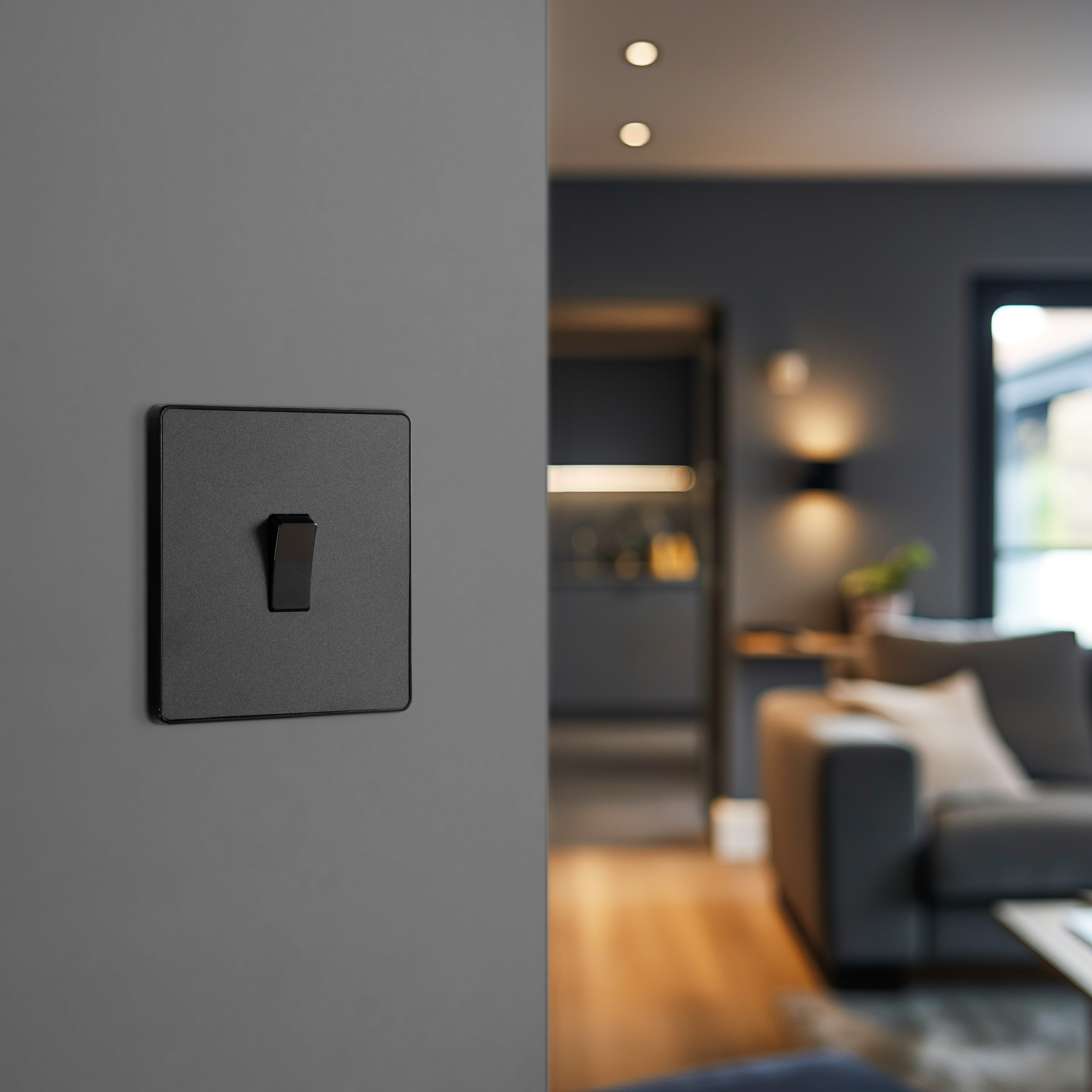 20 Amp 16AX Light Switches | BG Electrical